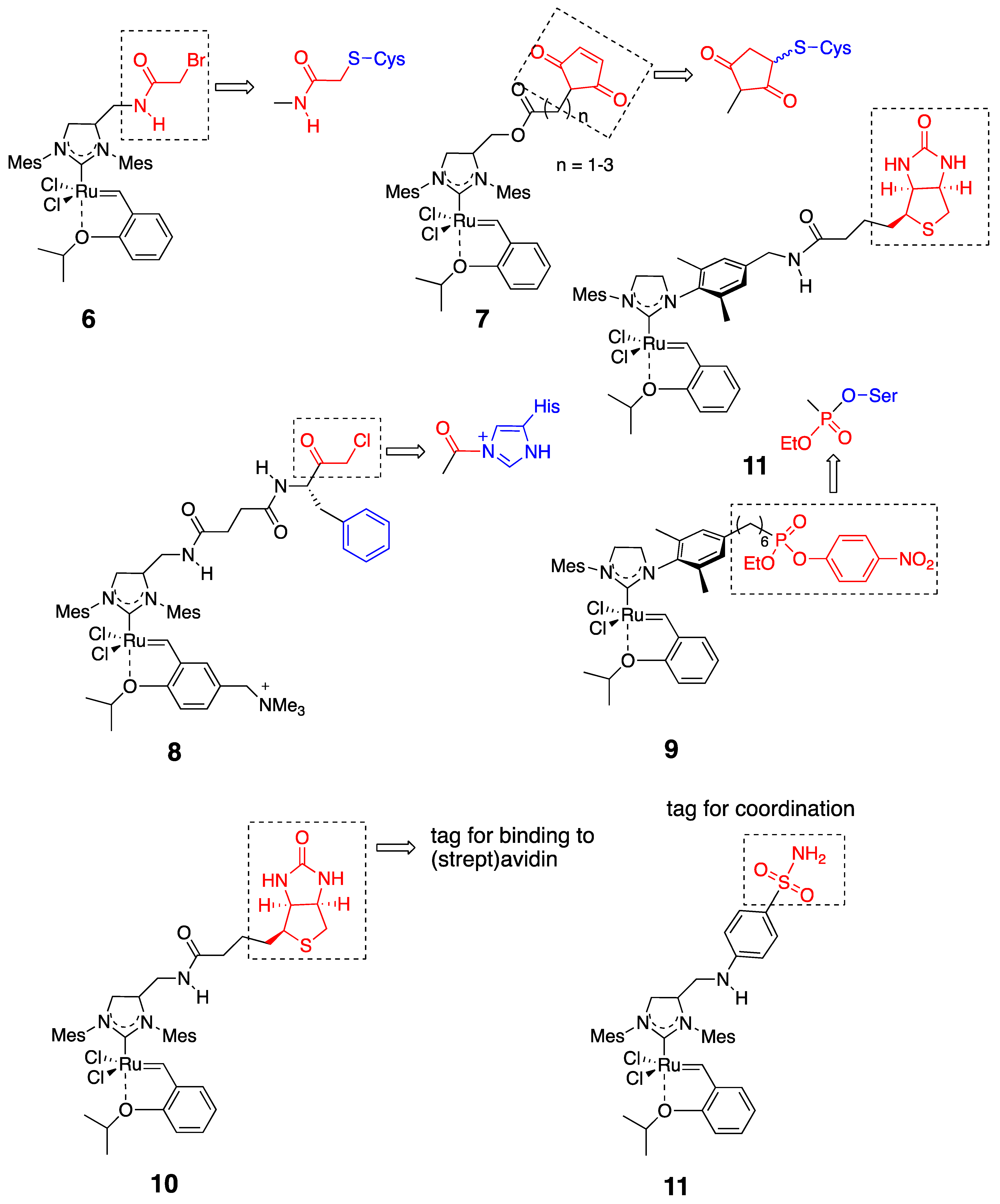 Catalysts 11 00359 g004 Catalysts 11 00359 g004