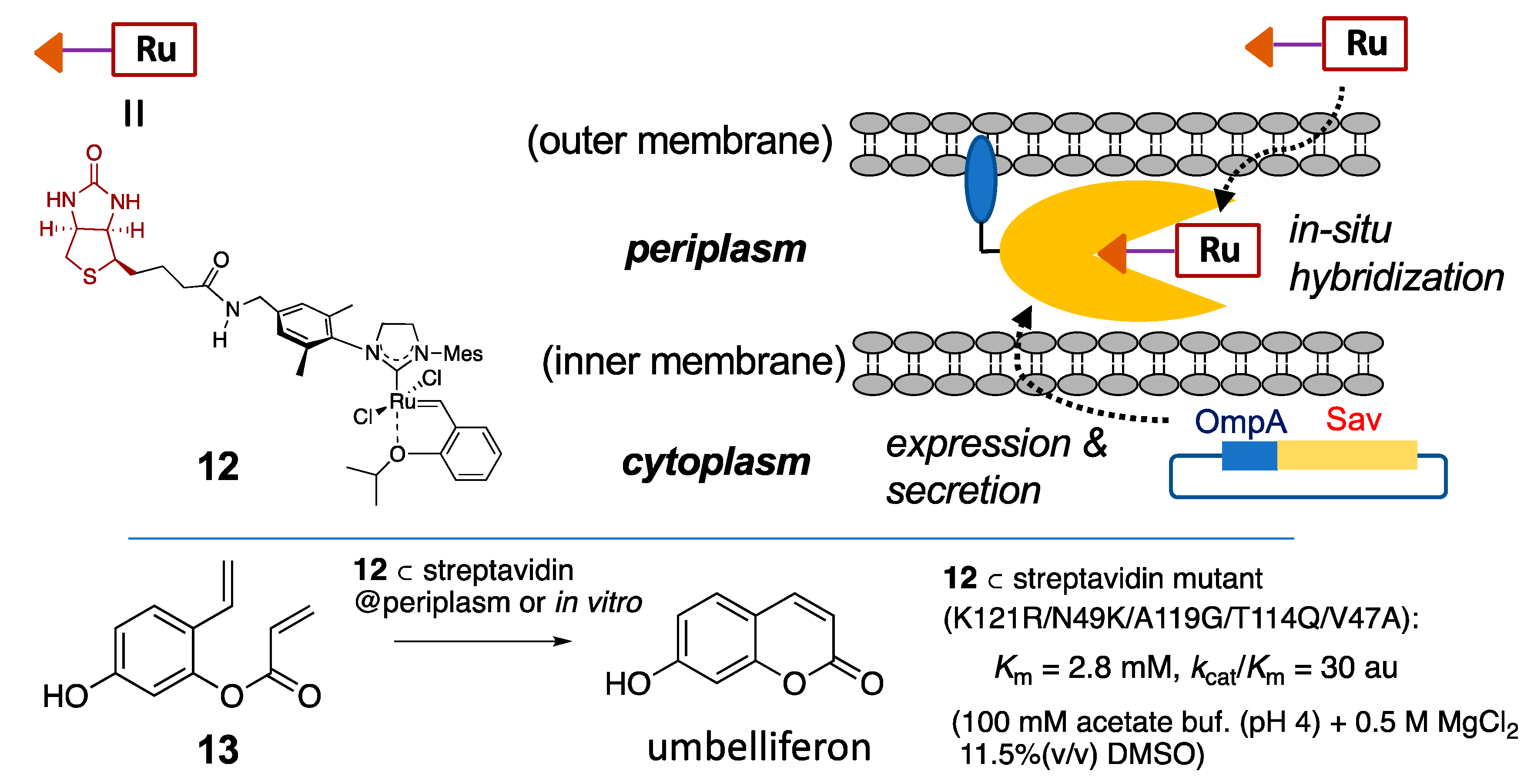 Catalysts 11 00359 g006 Catalysts 11 00359 g006