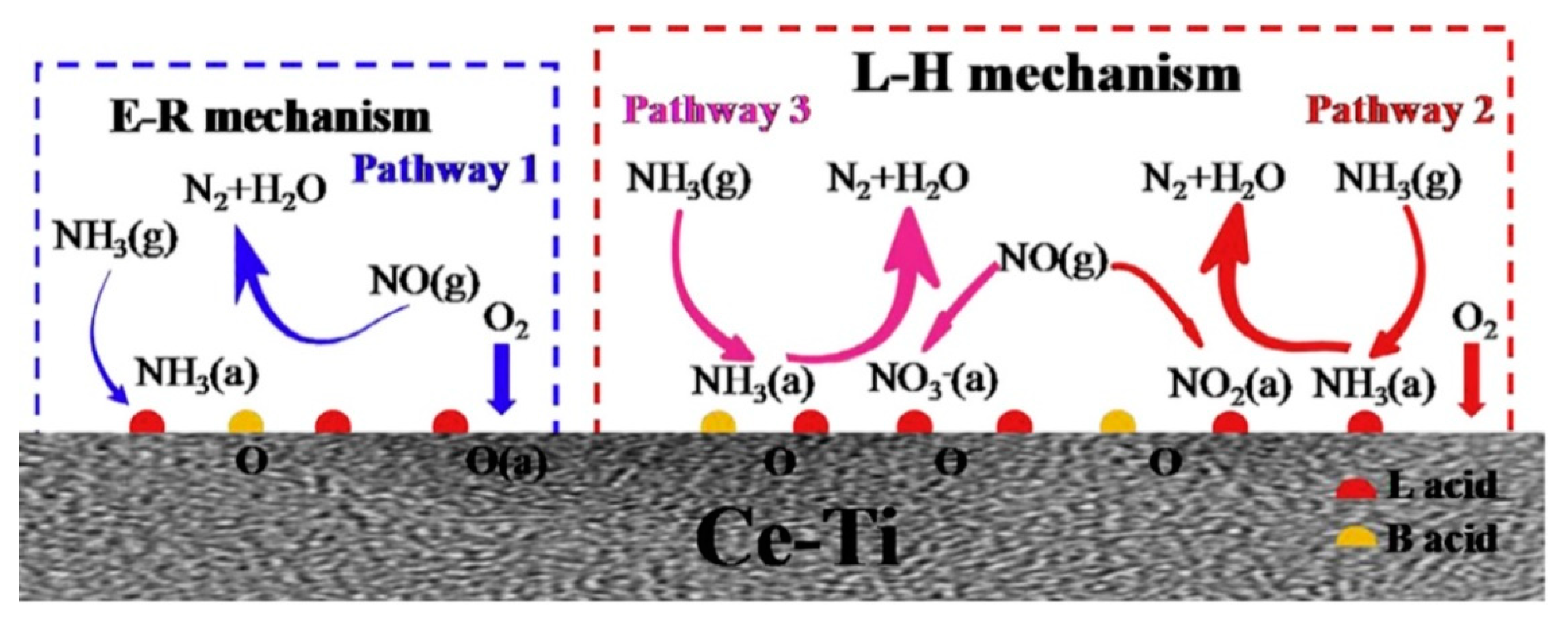 Catalysts 11 00361 g005 Catalysts 11 00361 g005