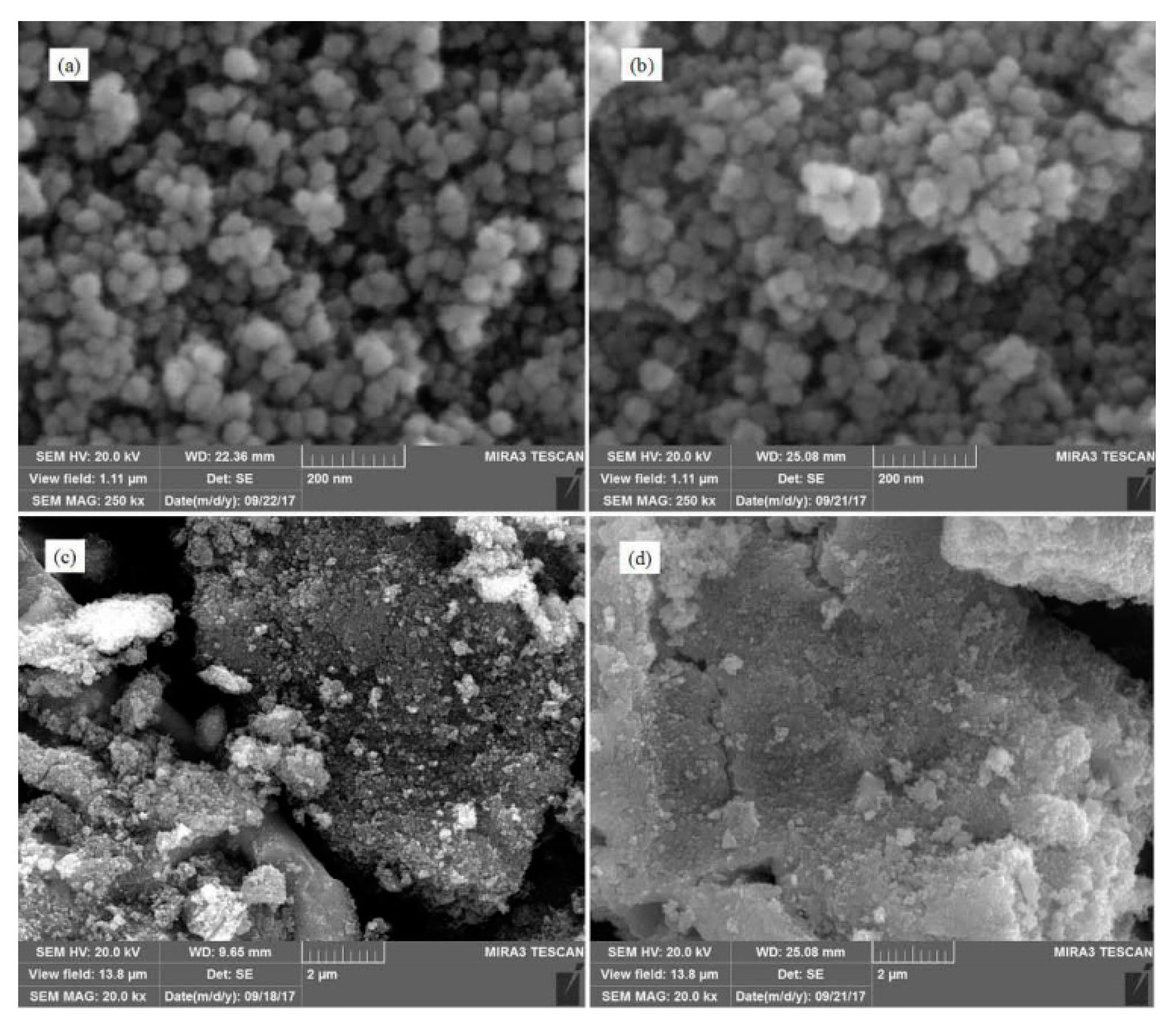 Catalysts 11 00361 g019 Catalysts 11 00361 g019
