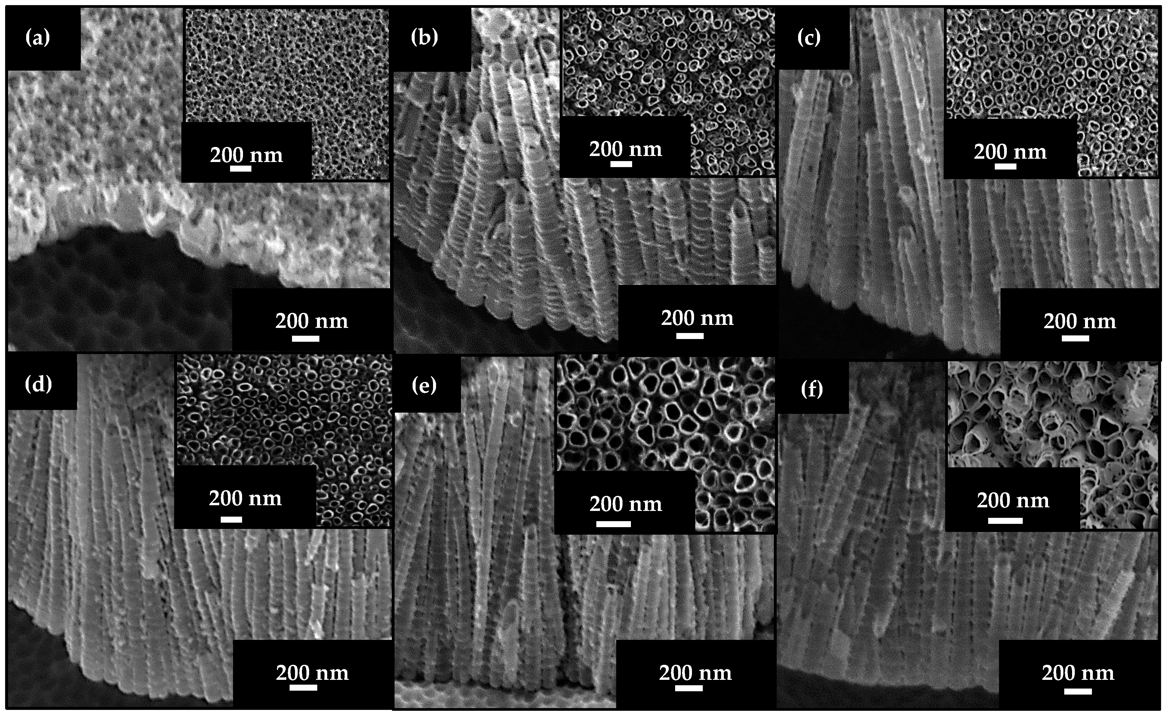 Catalysts 11 00376 g001 Catalysts 11 00376 g001