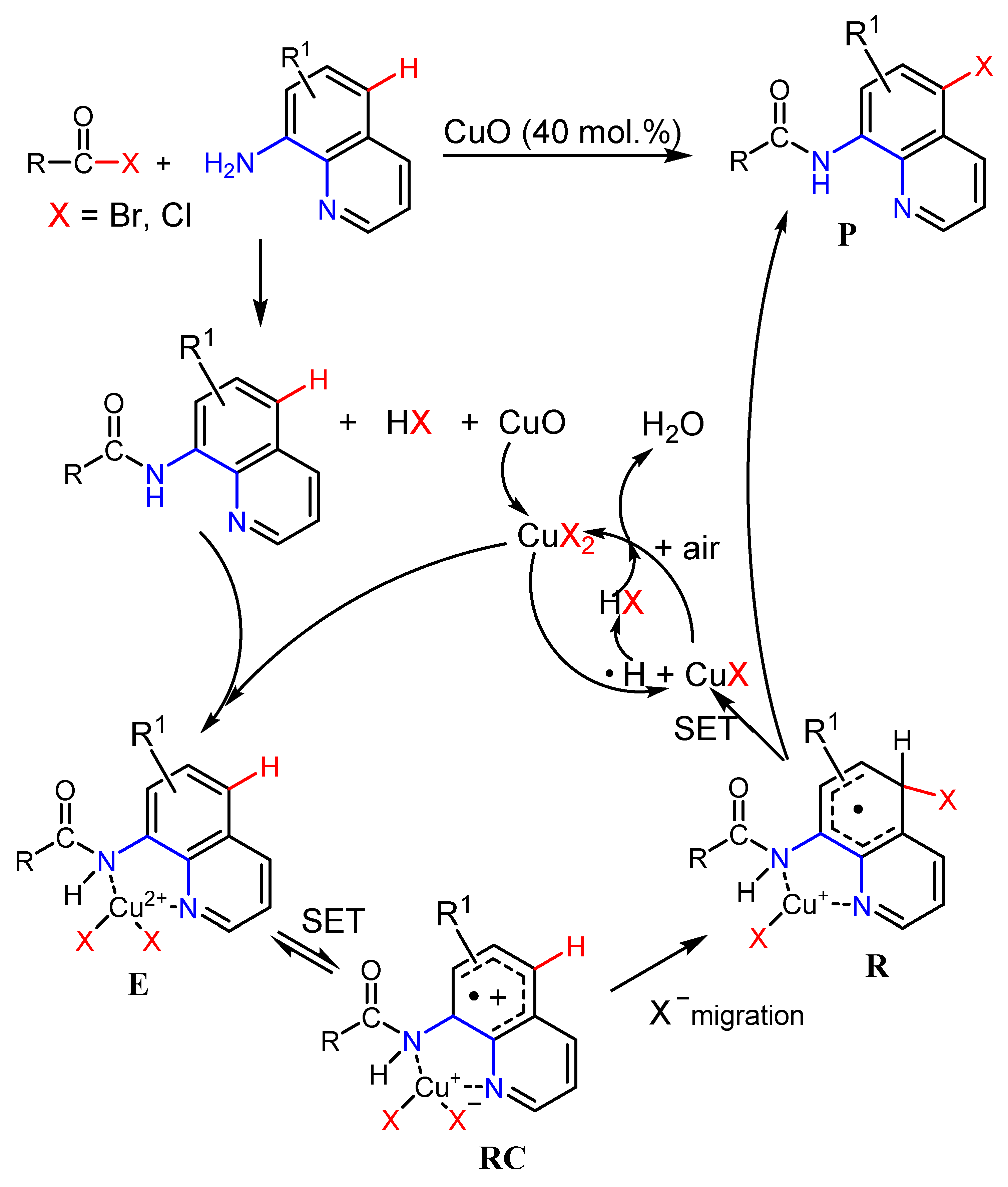Catalysts 11 00378 sch012 Catalysts 11 00378 sch012