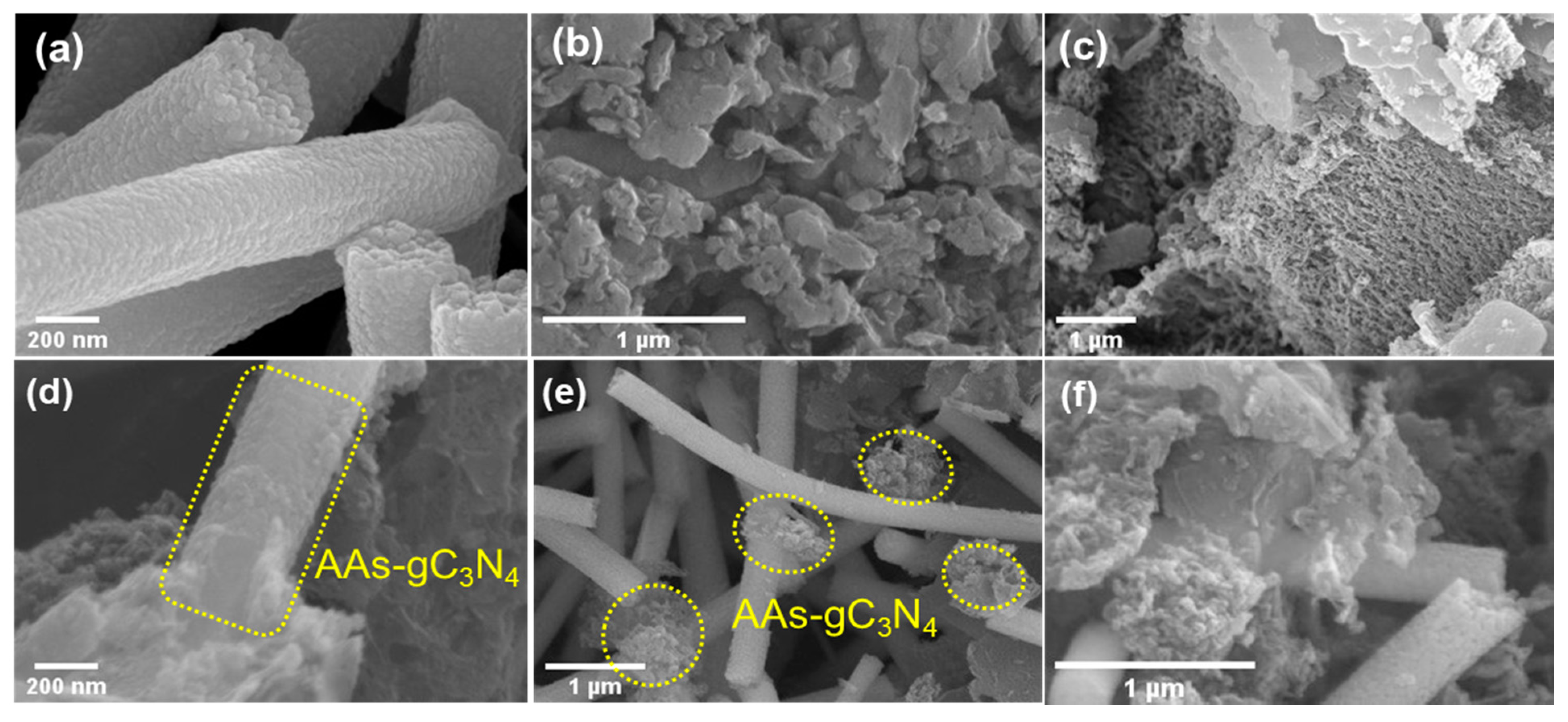 Catalysts 11 00385 g001