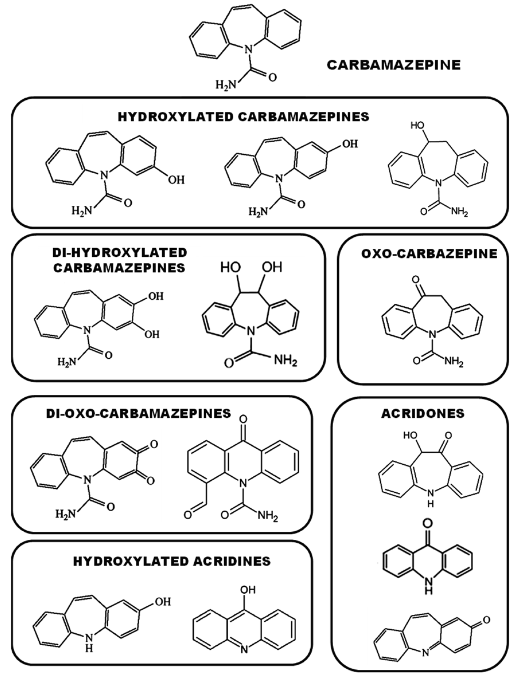 Catalysts 11 00386 g005