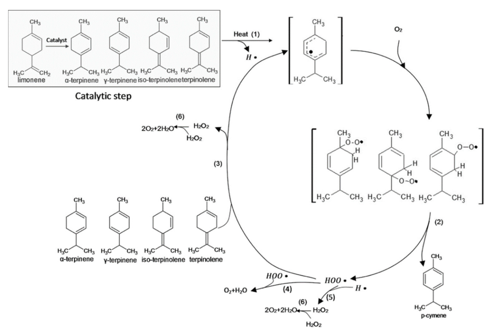 Catalysts 11 00387 g007 Catalysts 11 00387 g007
