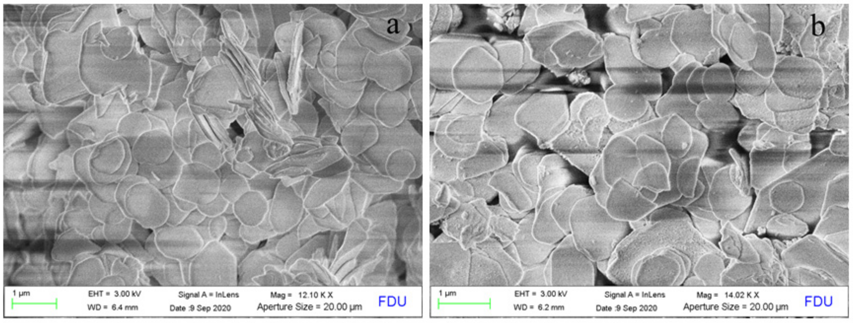 Catalysts 11 00388 g005 Catalysts 11 00388 g005
