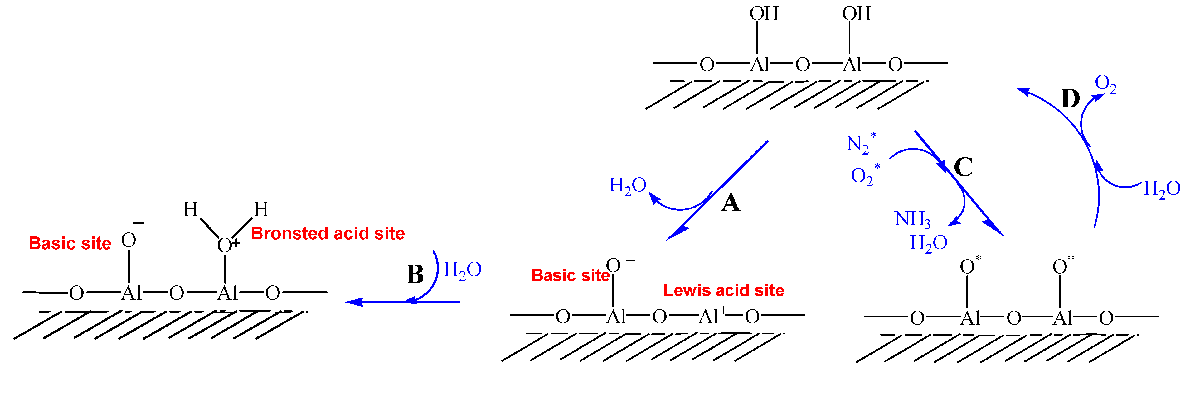 Catalysts 11 00391 g005
