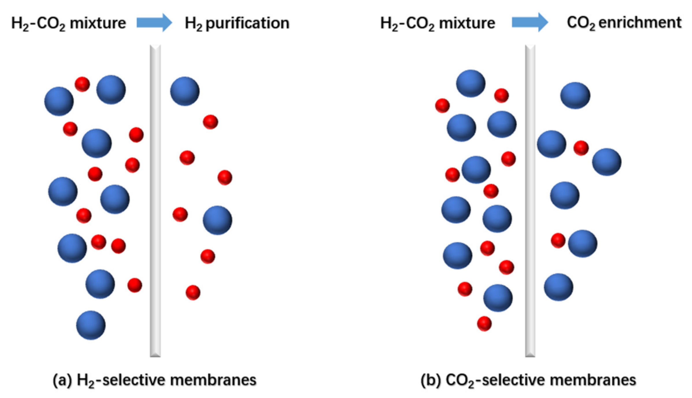 Catalysts 11 00393 g003