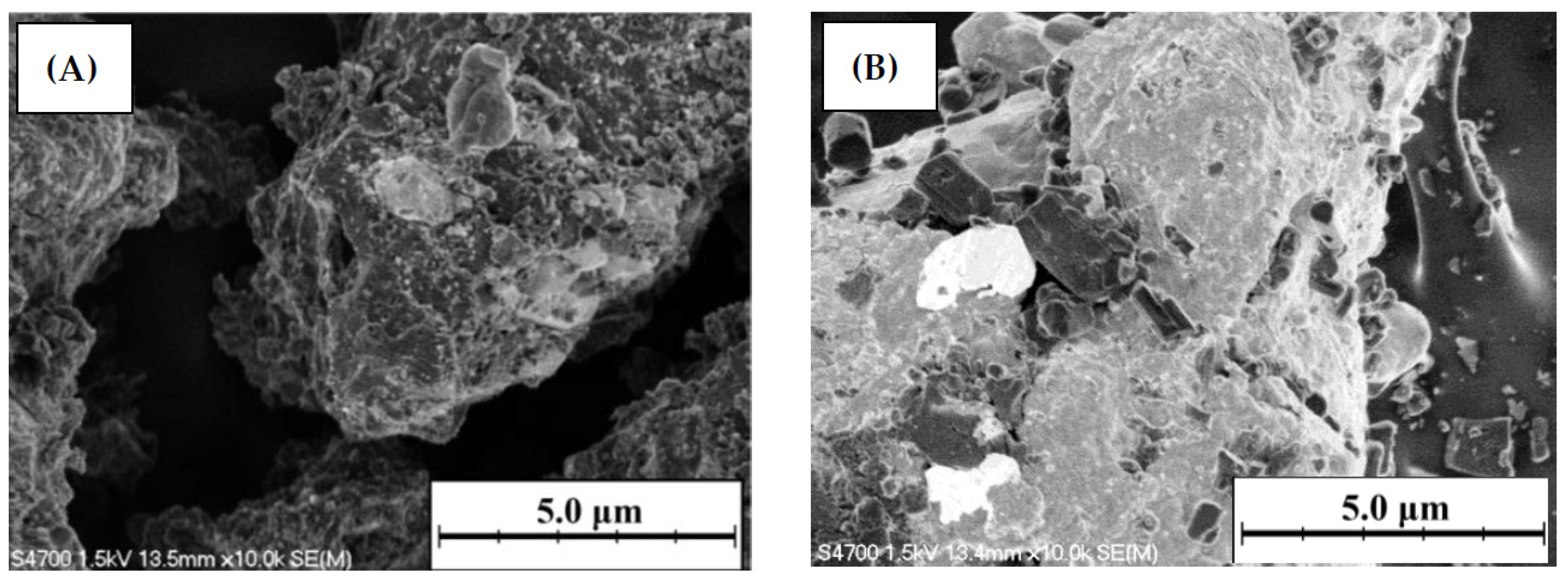 Catalysts 11 00398 g004
