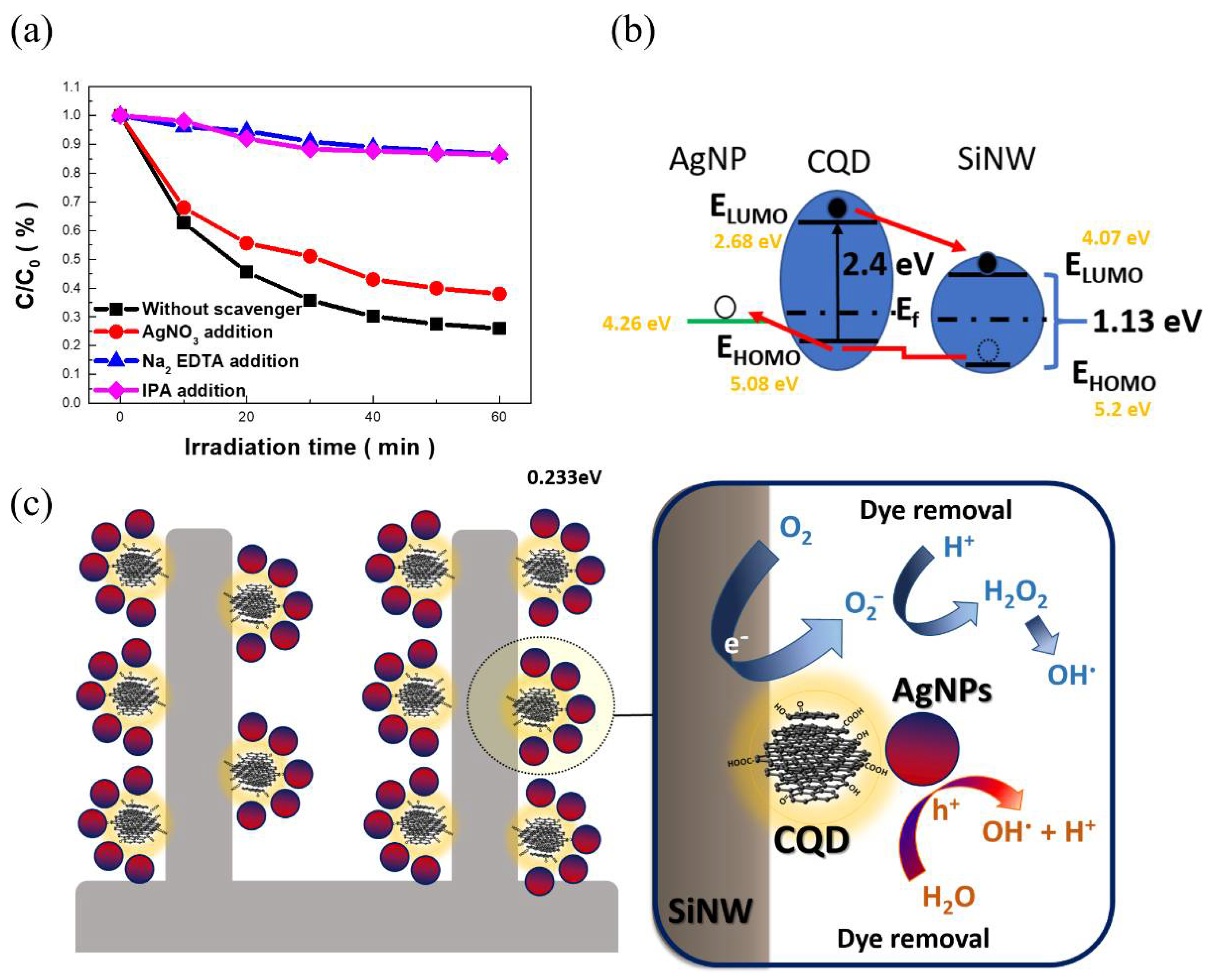 Catalysts 11 00399 g005