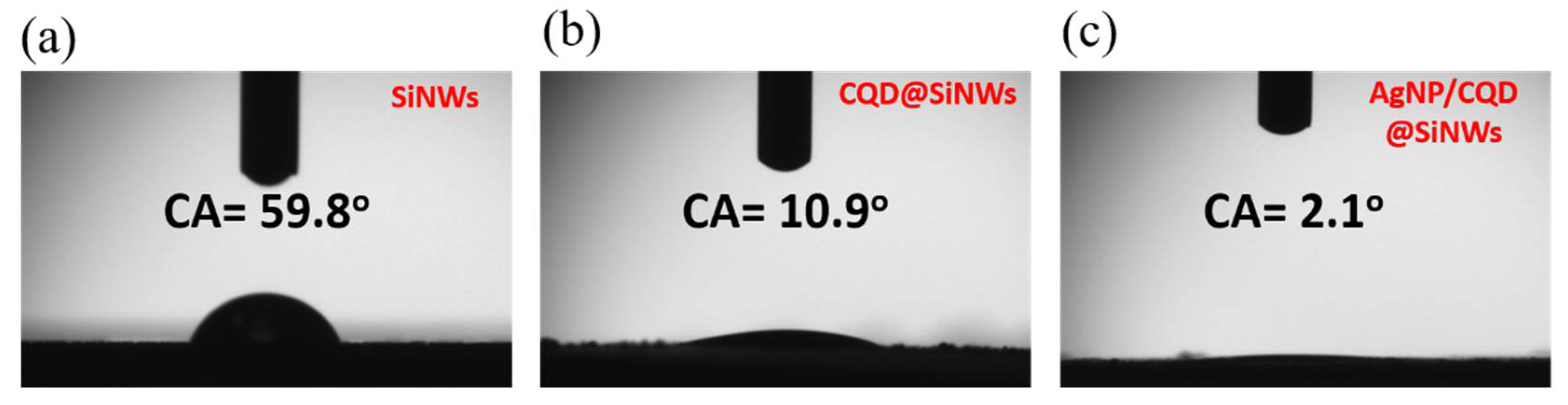 Catalysts 11 00399 g006