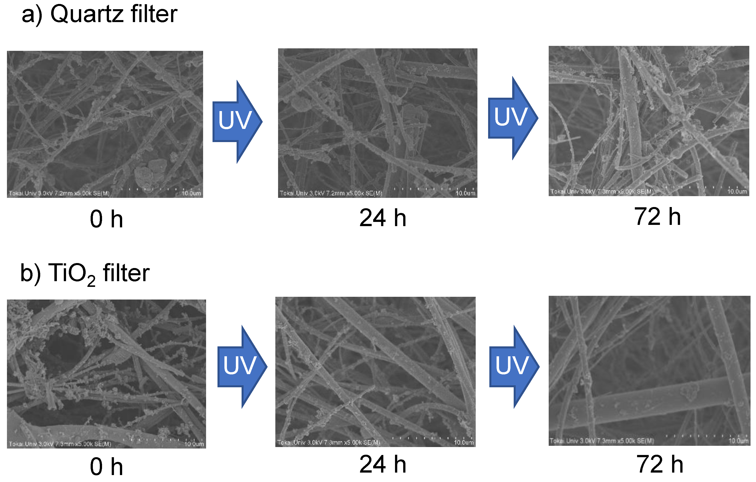 Catalysts 11 00400 g003