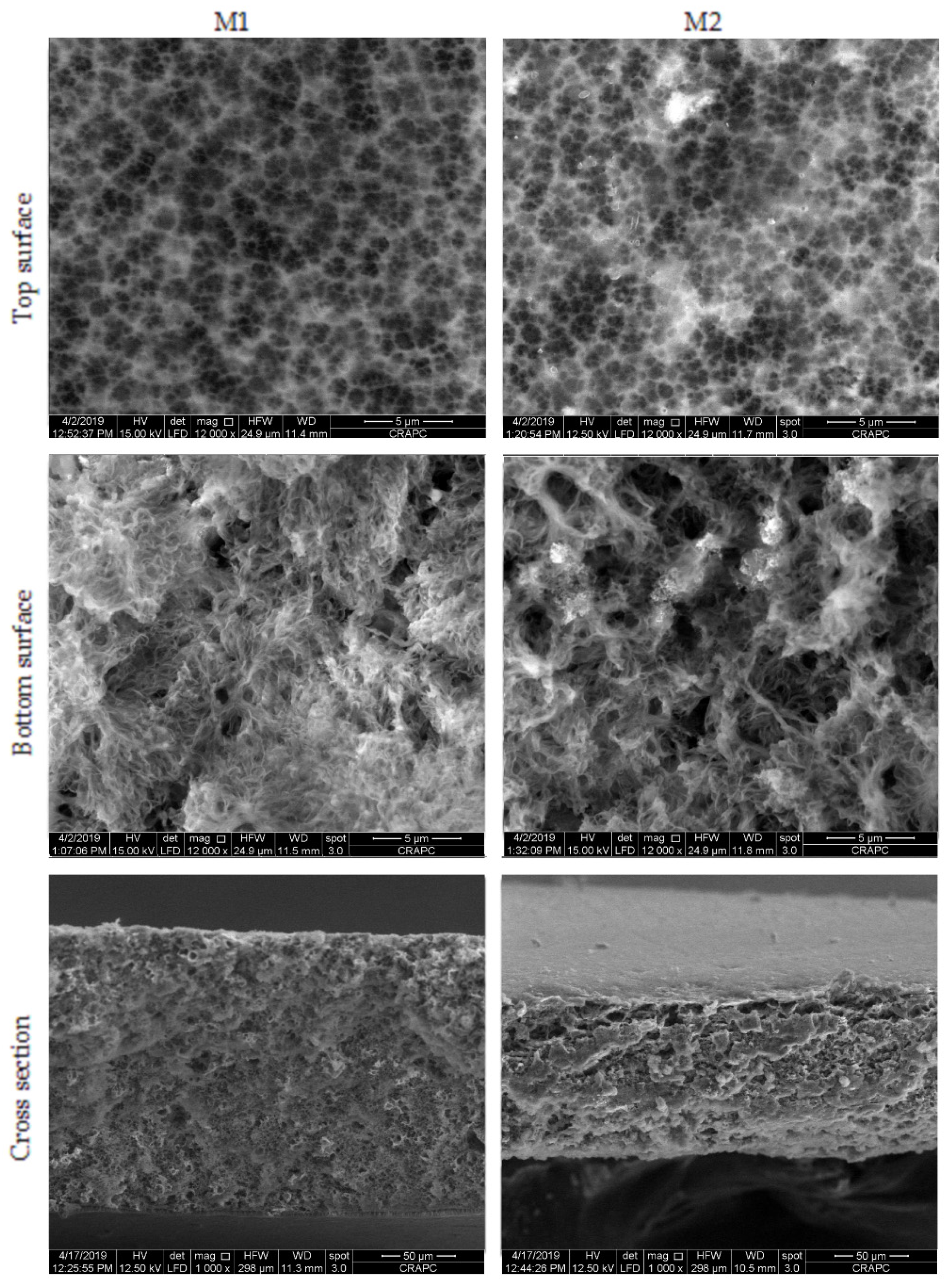 Catalysts 11 00402 g001