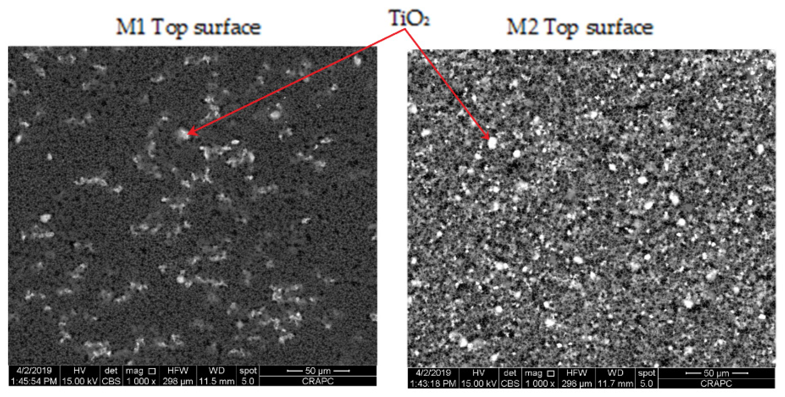 Catalysts 11 00402 g002