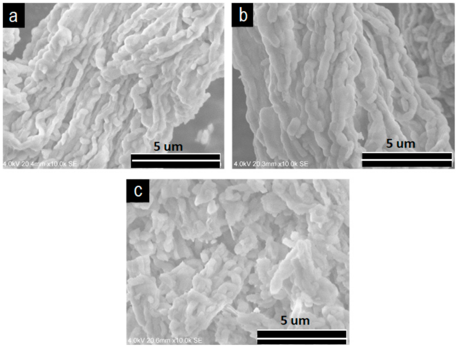 Catalysts 11 00408 g003 Catalysts 11 00408 g003