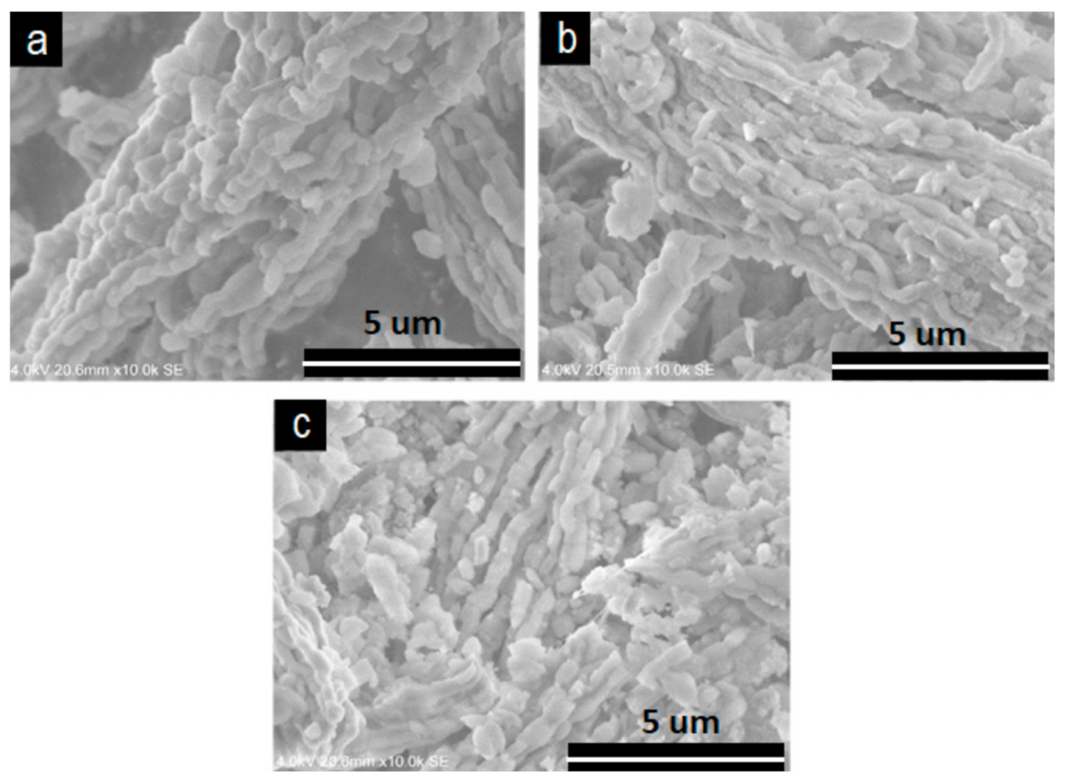 Catalysts 11 00408 g004 Catalysts 11 00408 g004