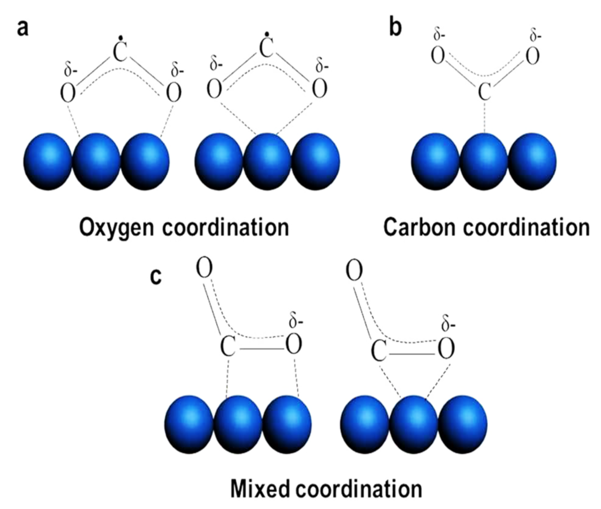 Catalysts 11 00418 g001 Catalysts 11 00418 g001
