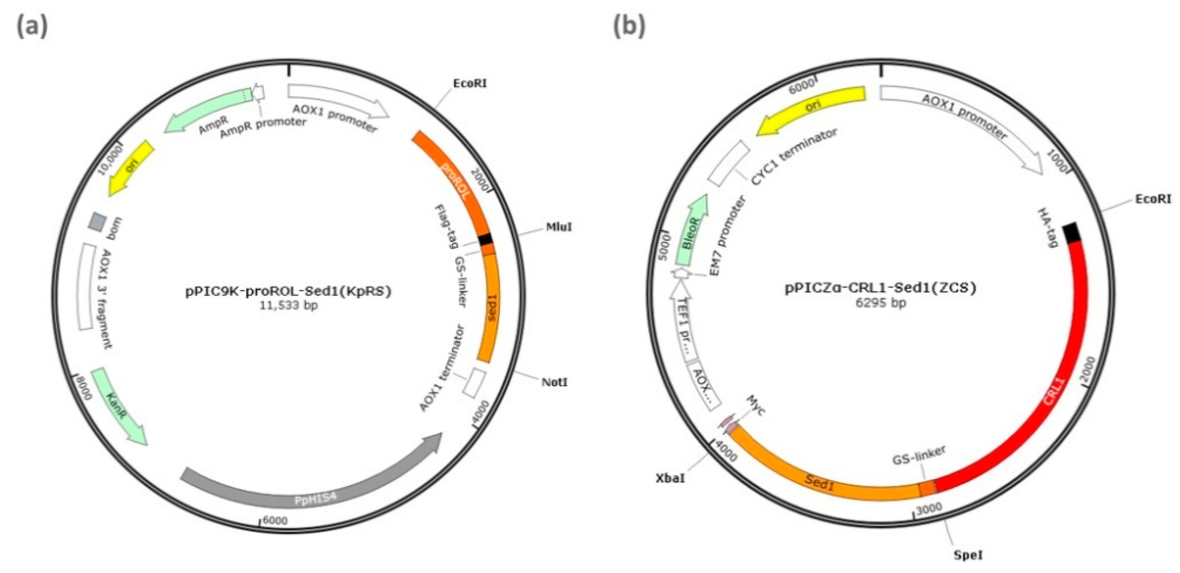 Catalysts 11 00421 g005 Catalysts 11 00421 g005