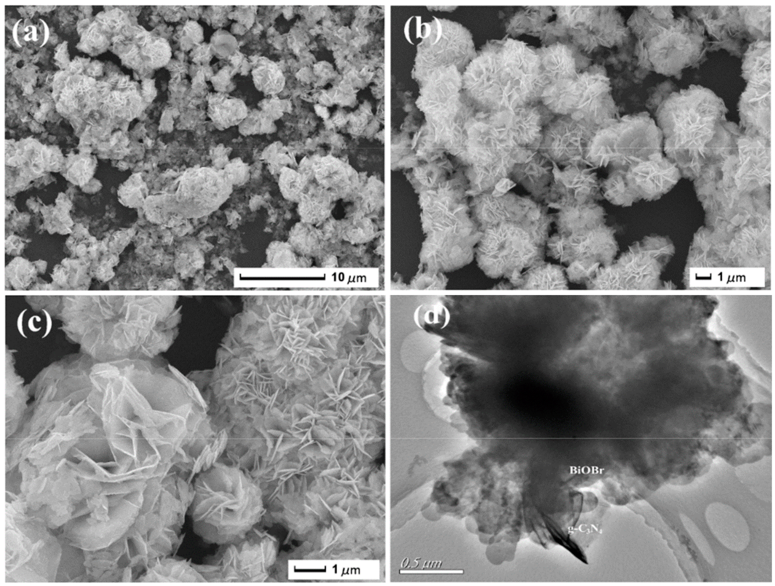 Catalysts 11 00426 g004 Catalysts 11 00426 g004