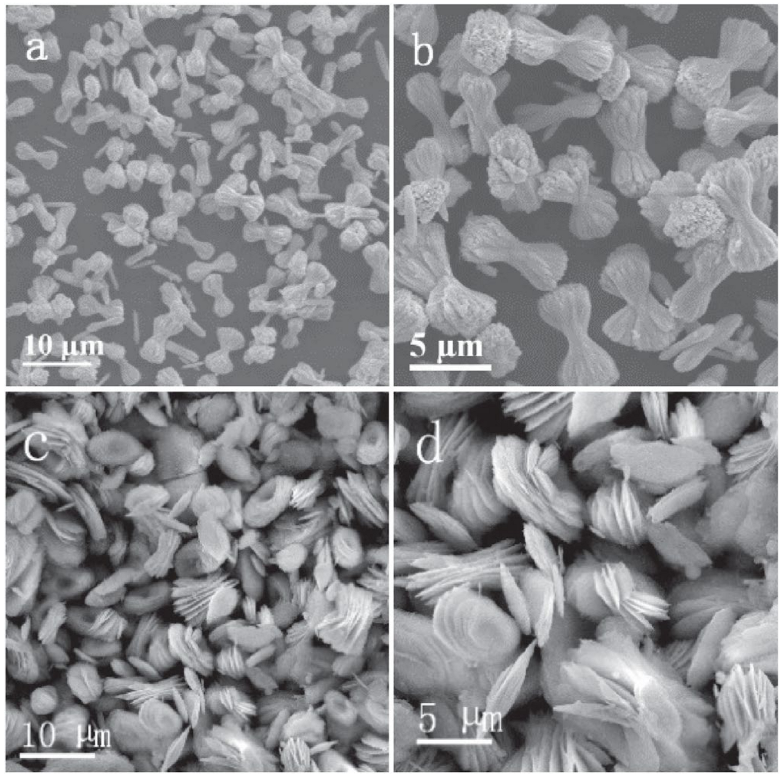 Catalysts 11 00427 g005 Catalysts 11 00427 g005