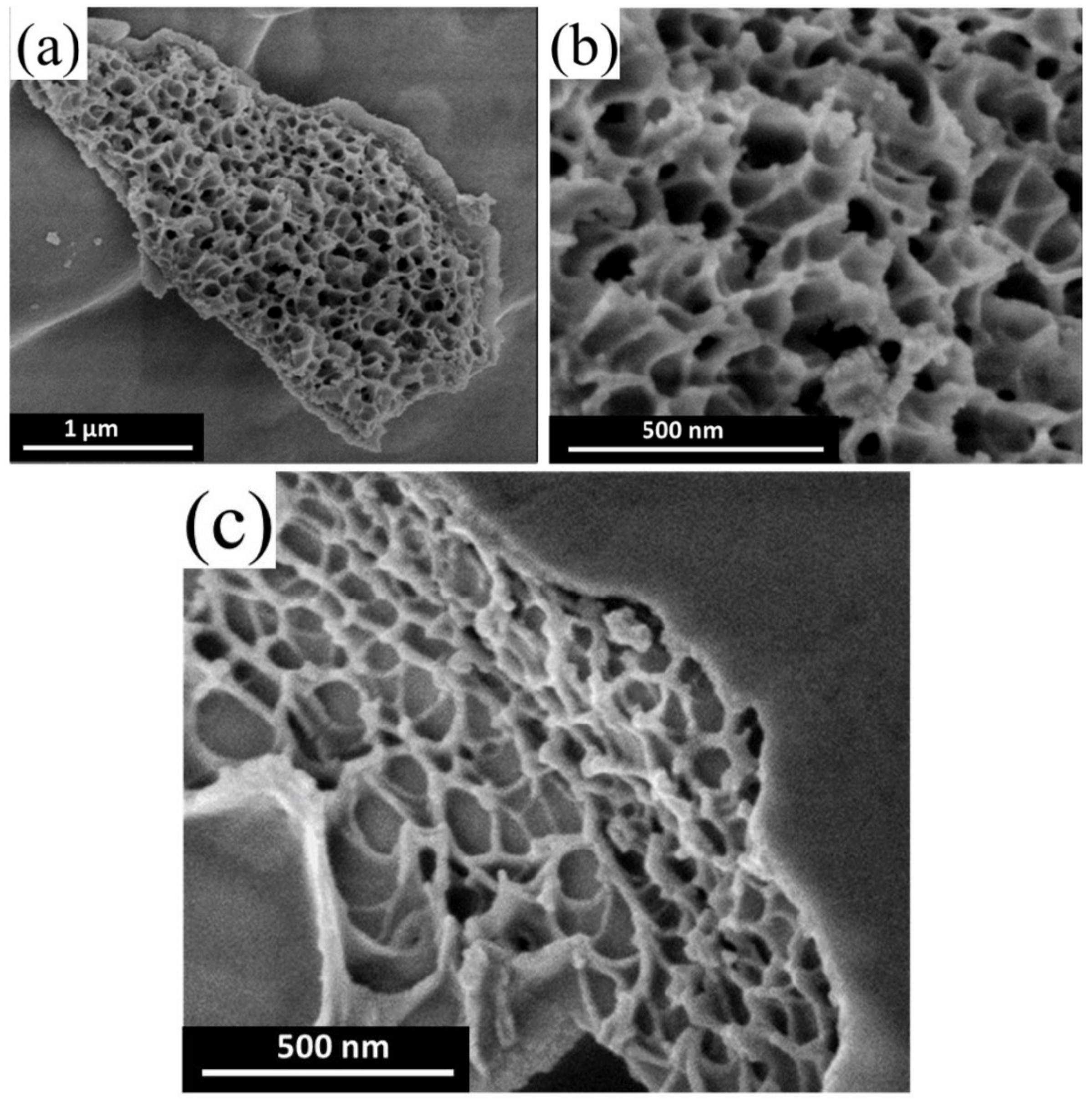 Catalysts 11 00427 g015 Catalysts 11 00427 g015