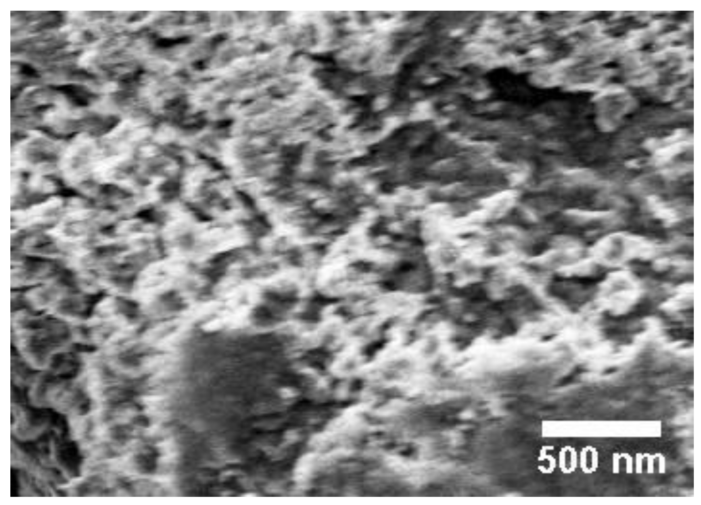 Catalysts 11 00431 g003