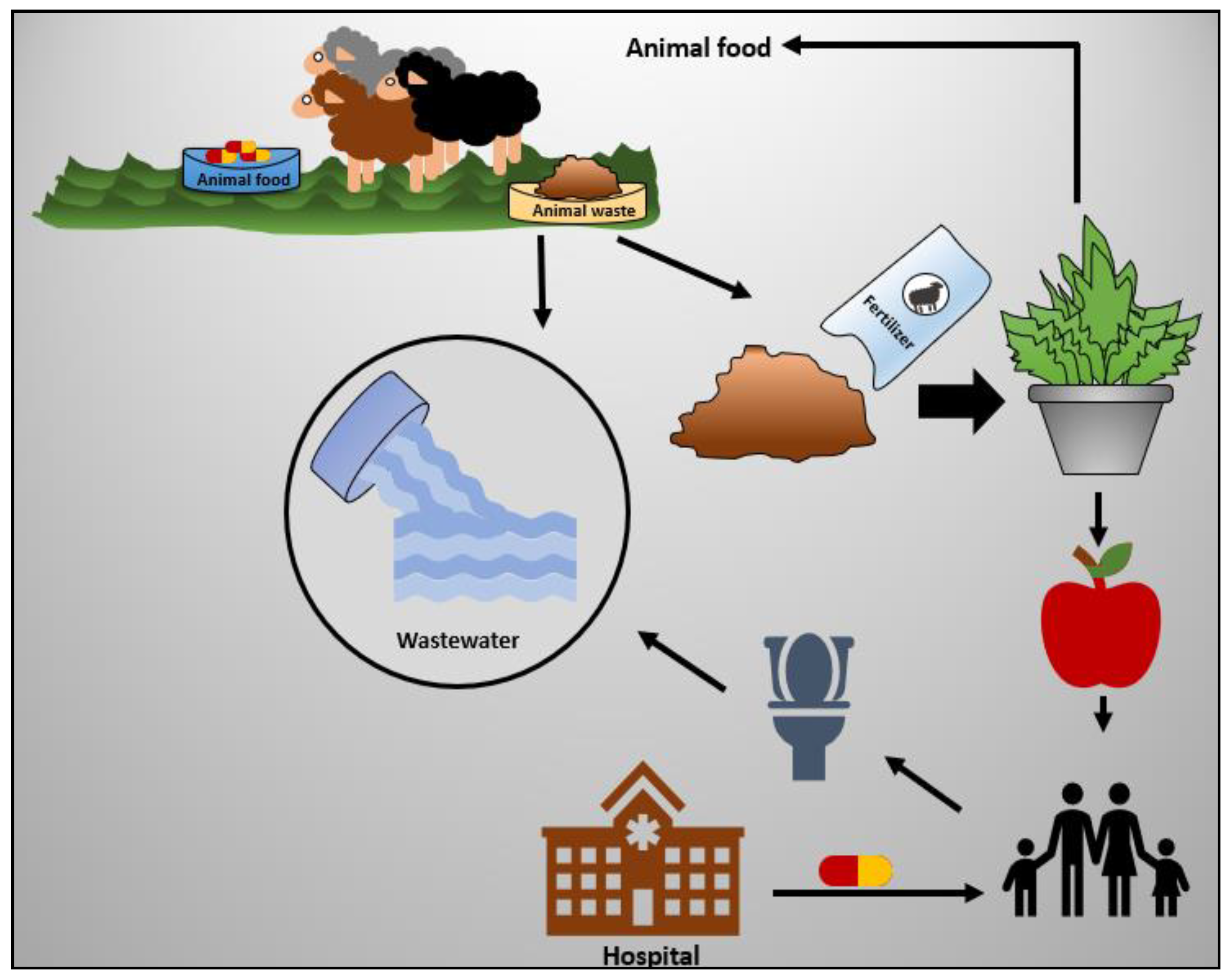 Catalysts 11 00437 g001 Catalysts 11 00437 g001