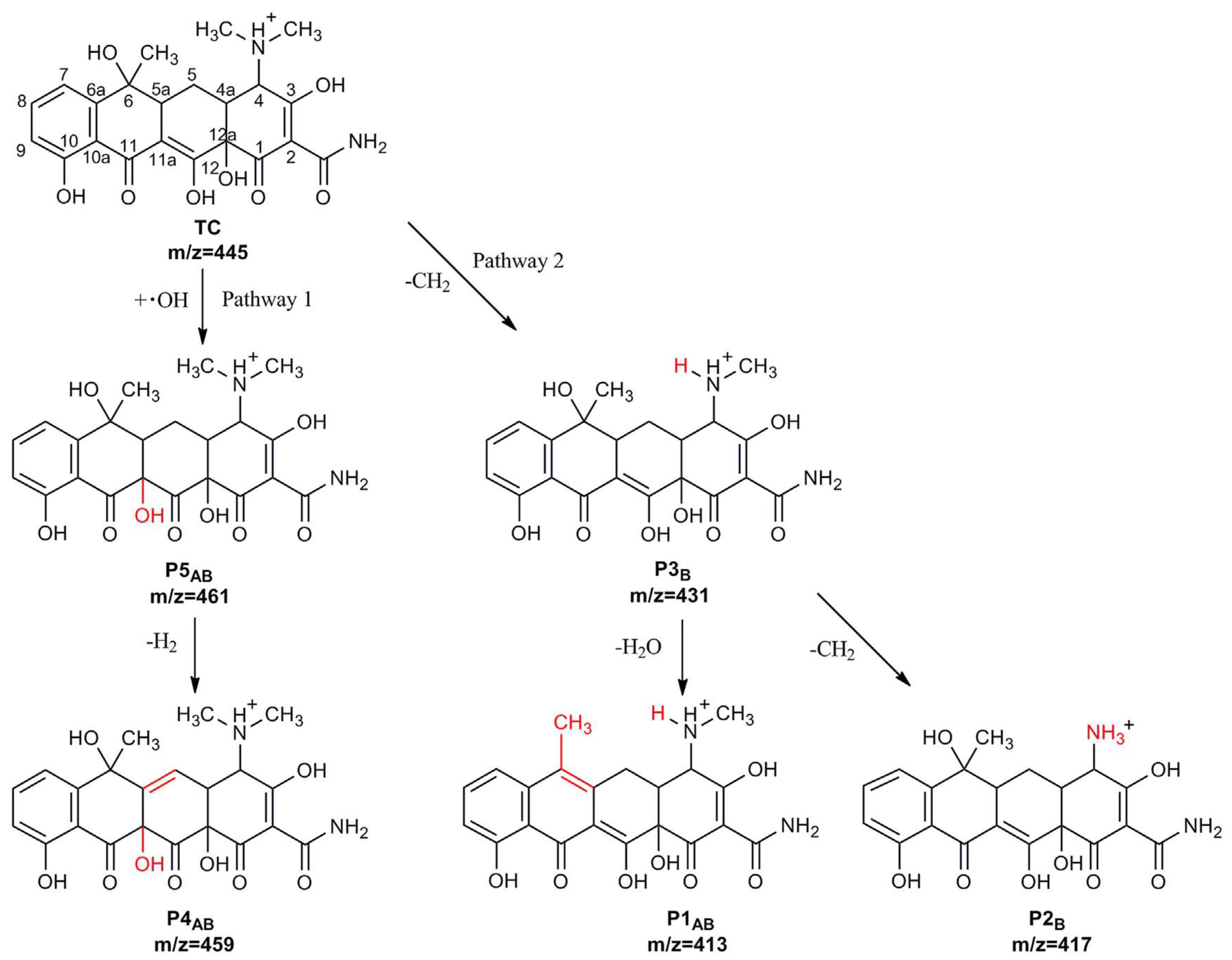 Catalysts 11 00437 g011 Catalysts 11 00437 g011