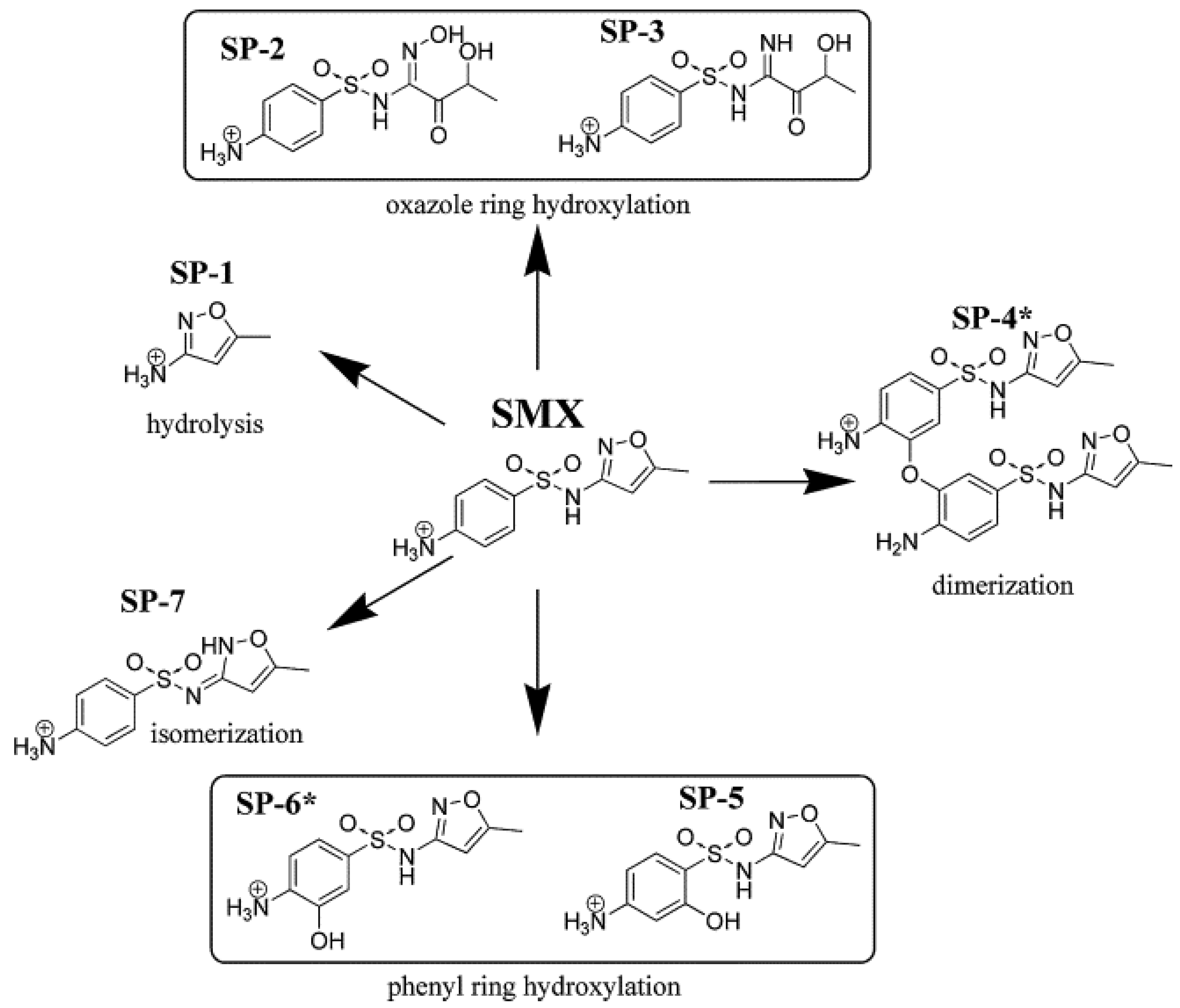 Catalysts 11 00437 g013 Catalysts 11 00437 g013