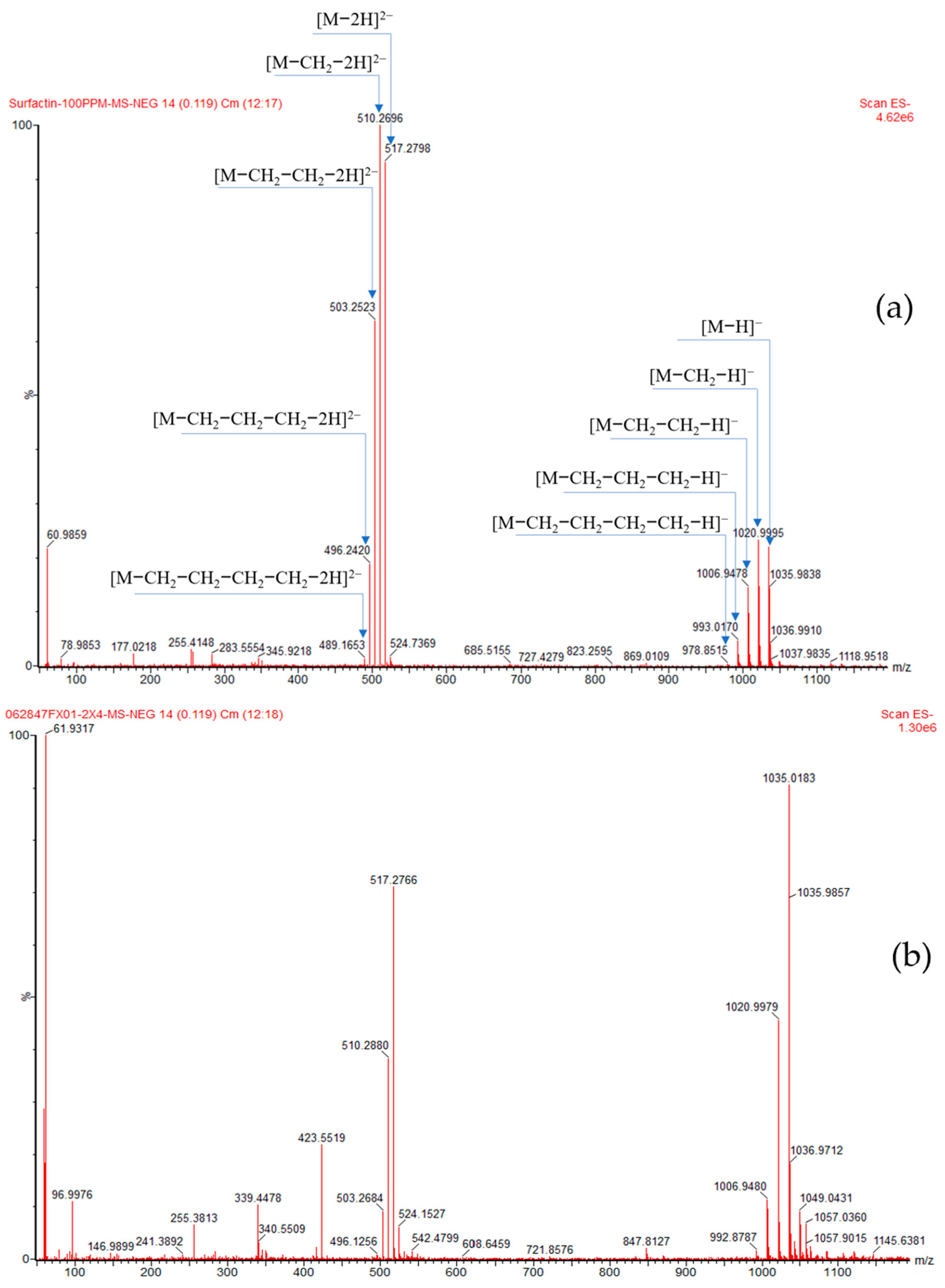 Catalysts 11 00456 g005