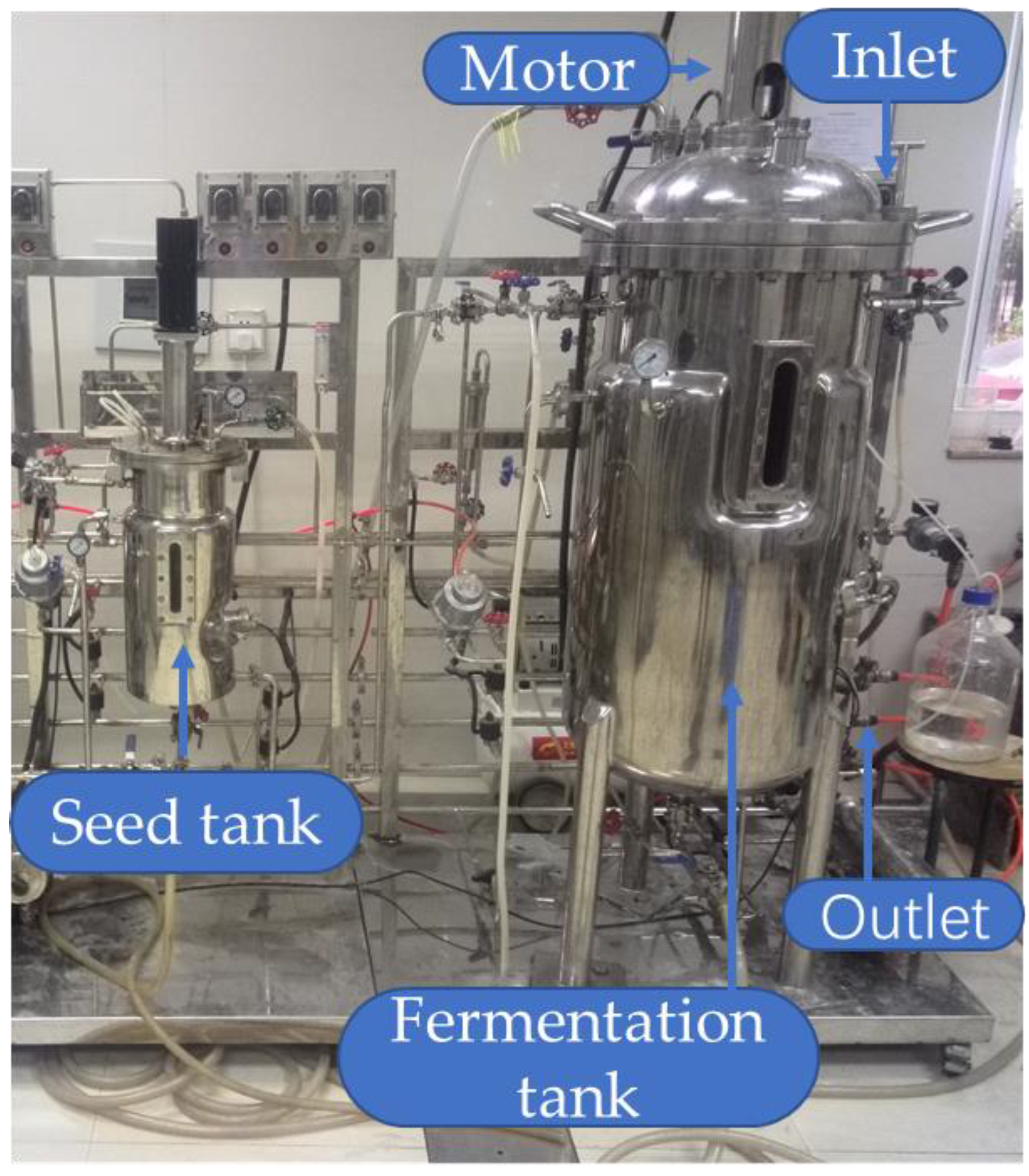 Catalysts 11 00456 g008