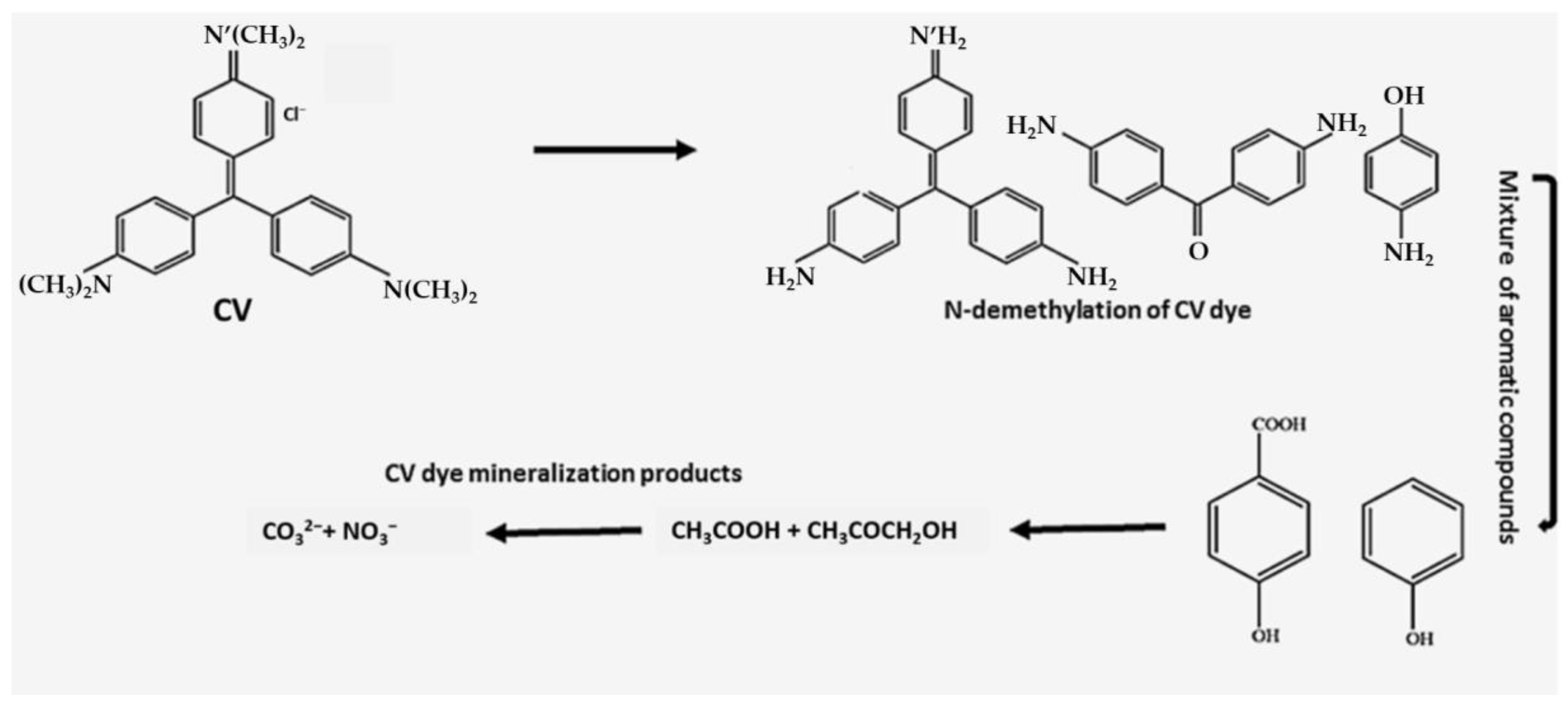 Catalysts 11 00460 g008 Catalysts 11 00460 g008