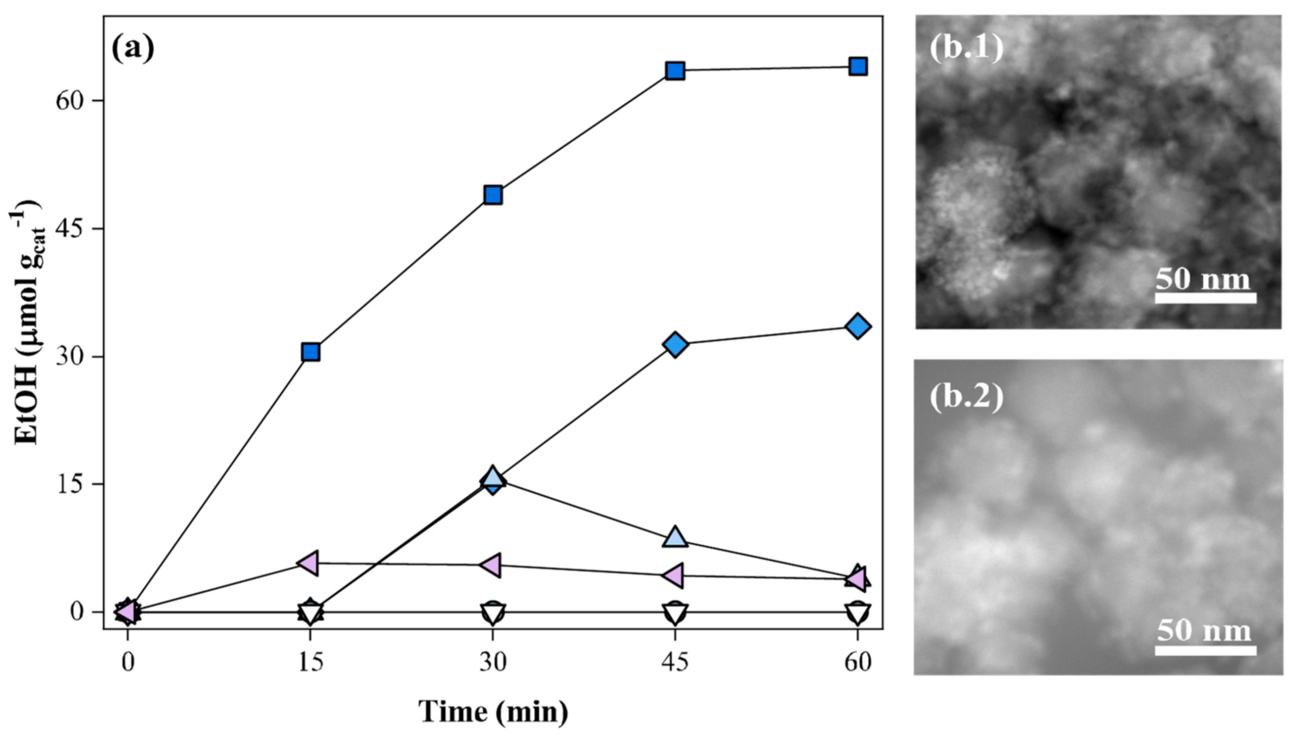 Catalysts 11 00461 g009
