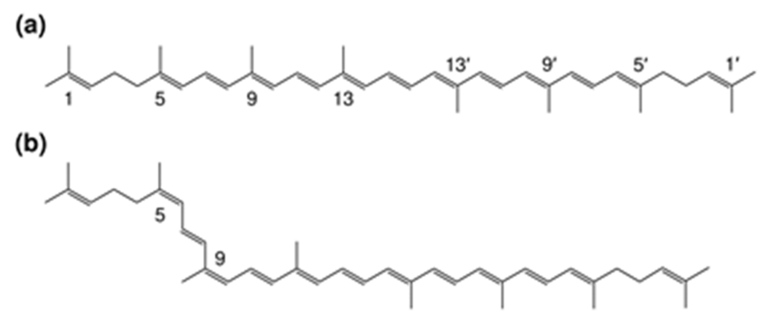 Catalysts 11 00462 g001