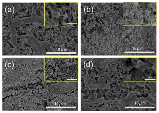 Catalysts 11 00477 g003 Catalysts 11 00477 g003