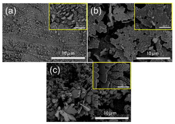 Catalysts 11 00477 g004 Catalysts 11 00477 g004