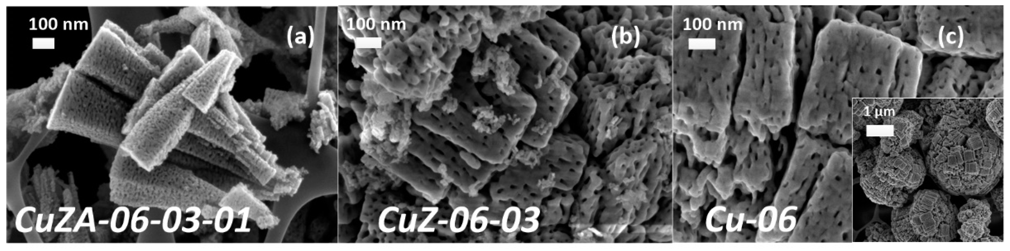Catalysts 11 00482 g001 Catalysts 11 00482 g001