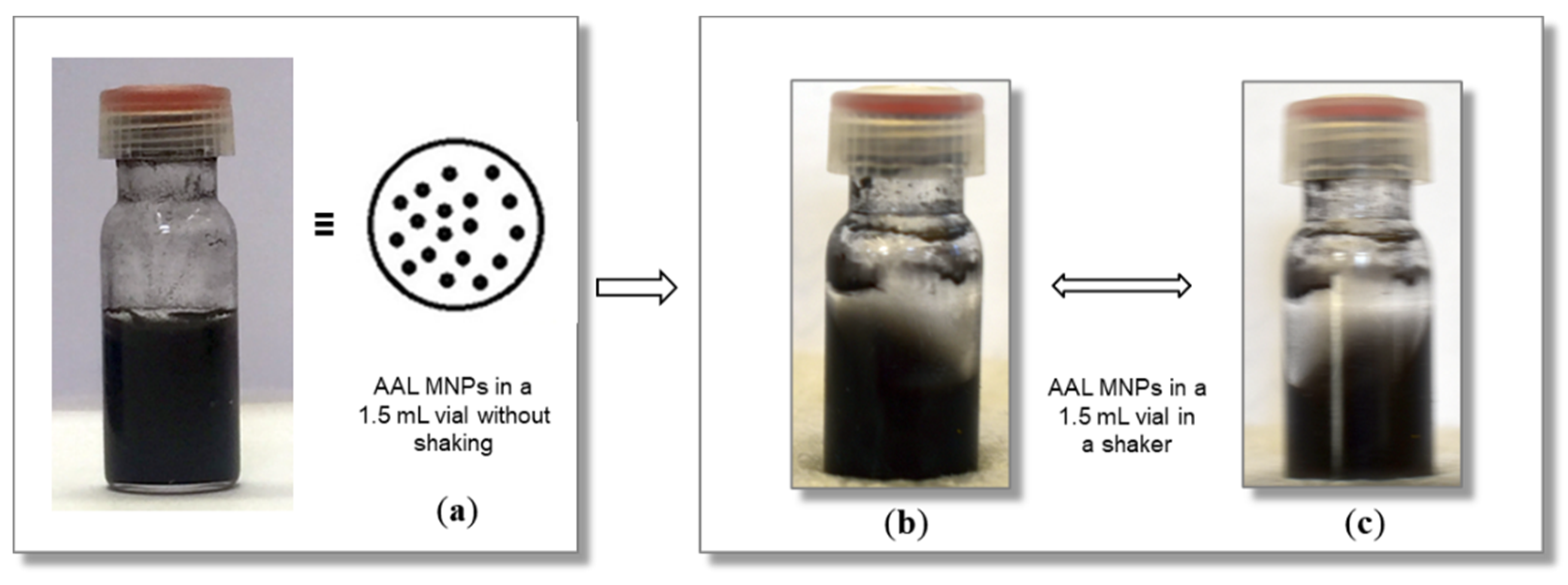 Catalysts 11 00483 g001