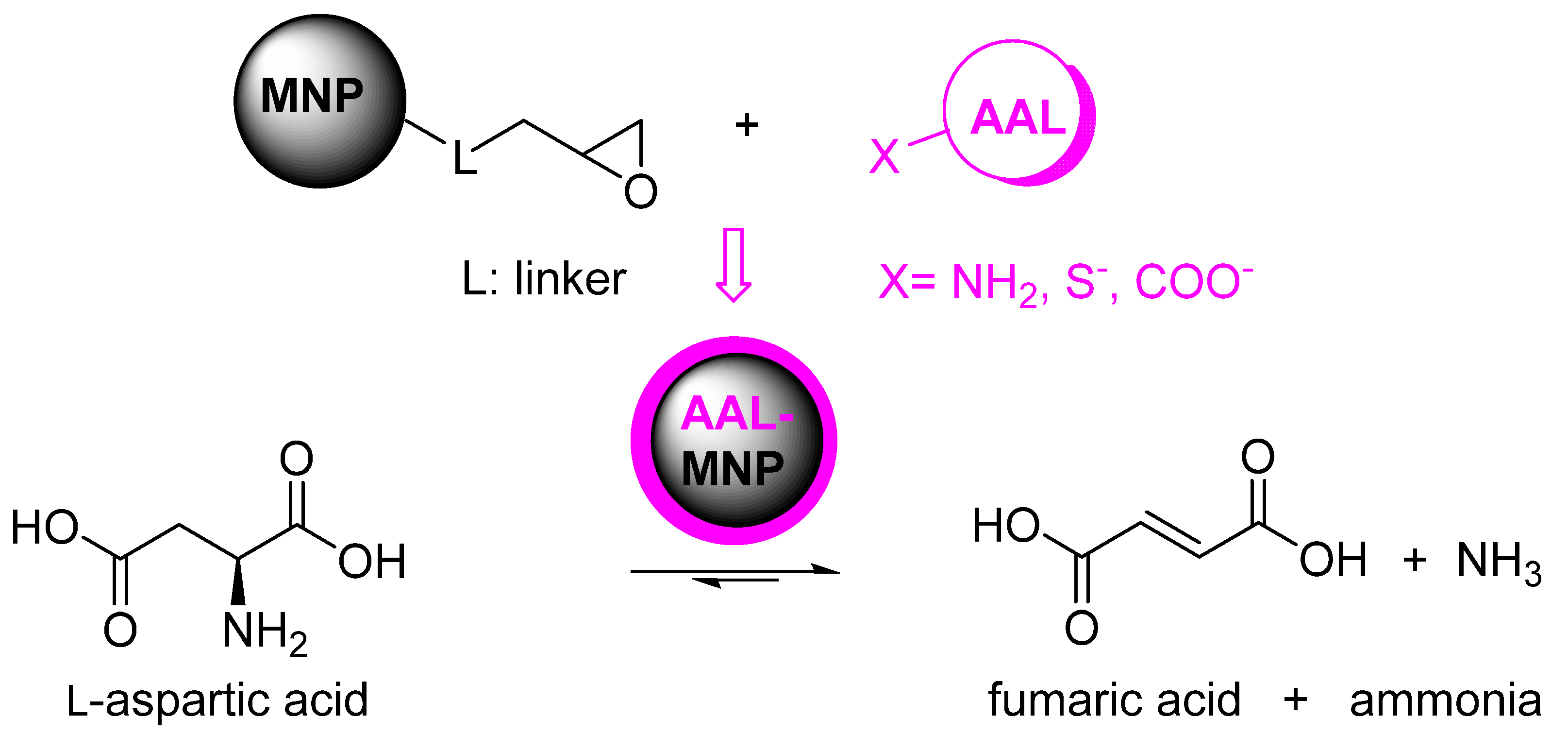 Catalysts 11 00483 sch001
