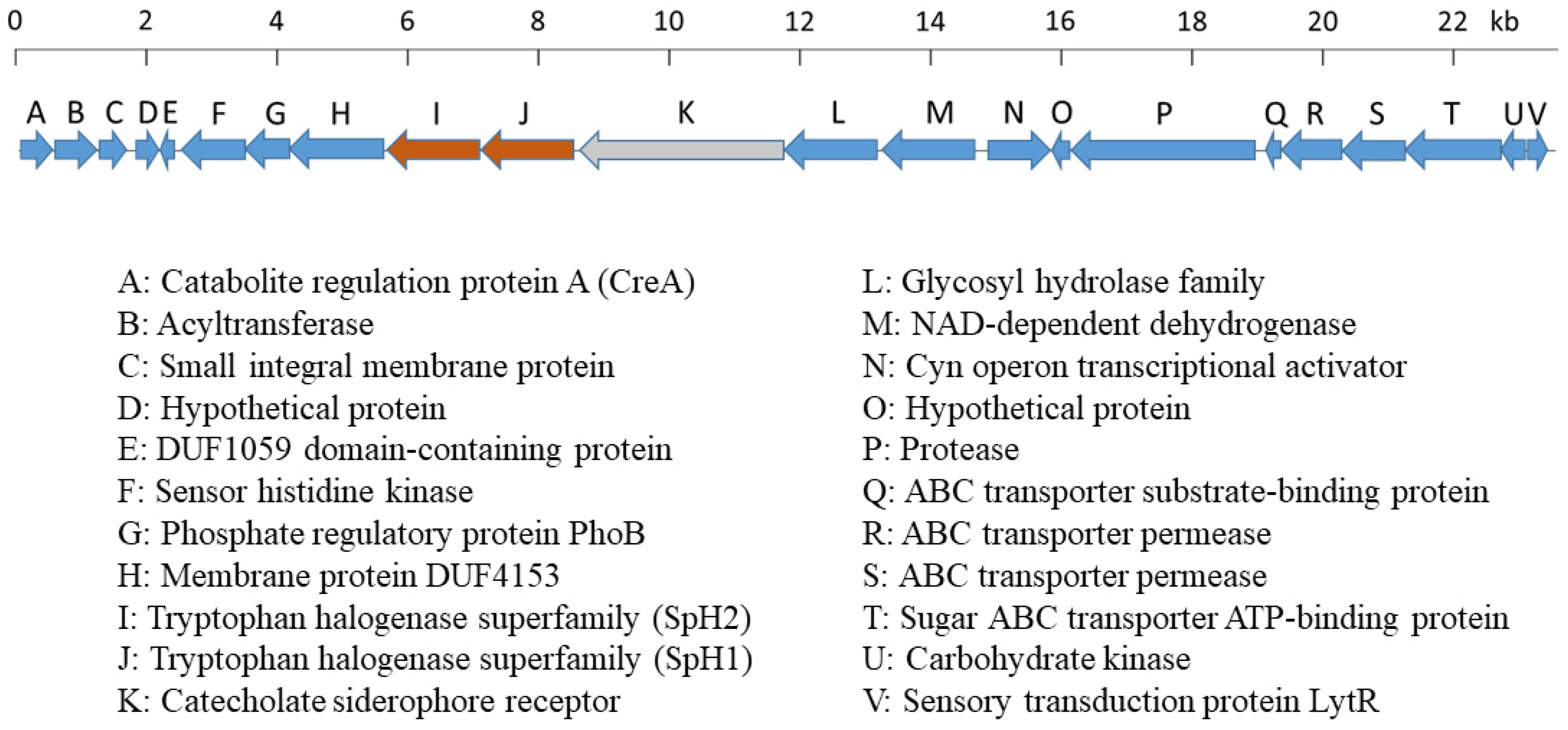 Catalysts 11 00485 g002 Catalysts 11 00485 g002