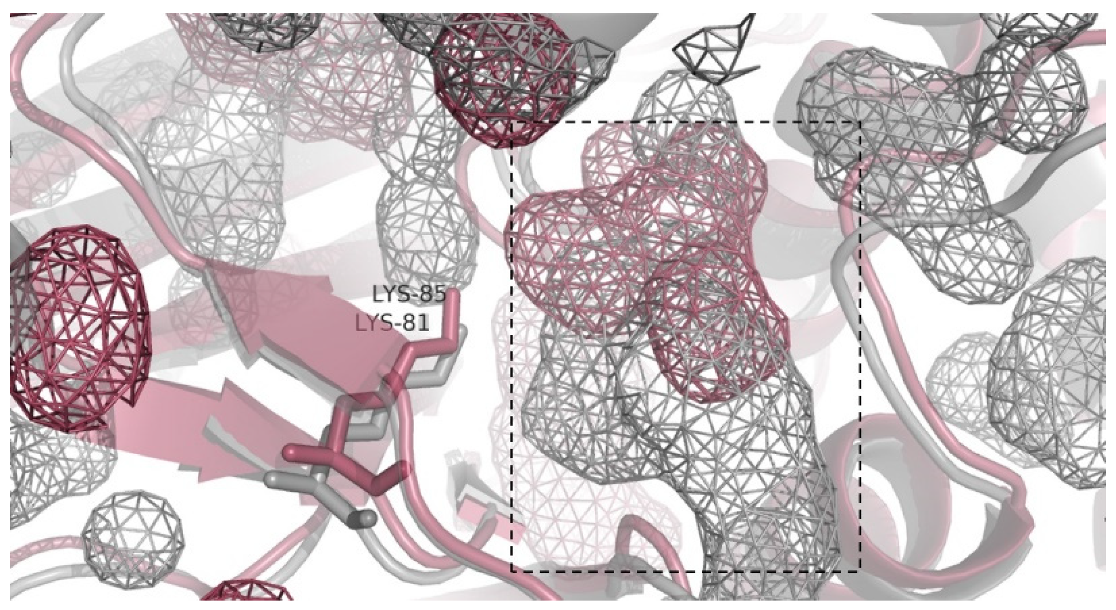 Catalysts 11 00485 g006 Catalysts 11 00485 g006