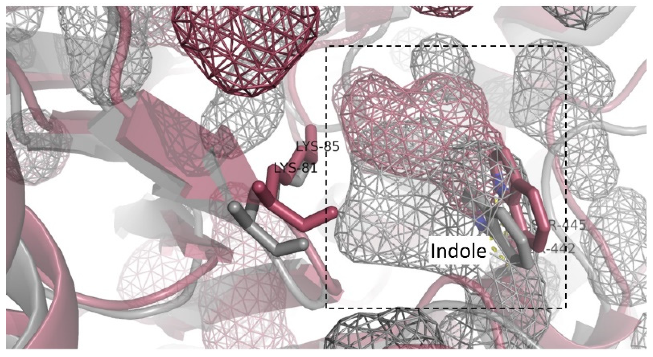 Catalysts 11 00485 g007 Catalysts 11 00485 g007