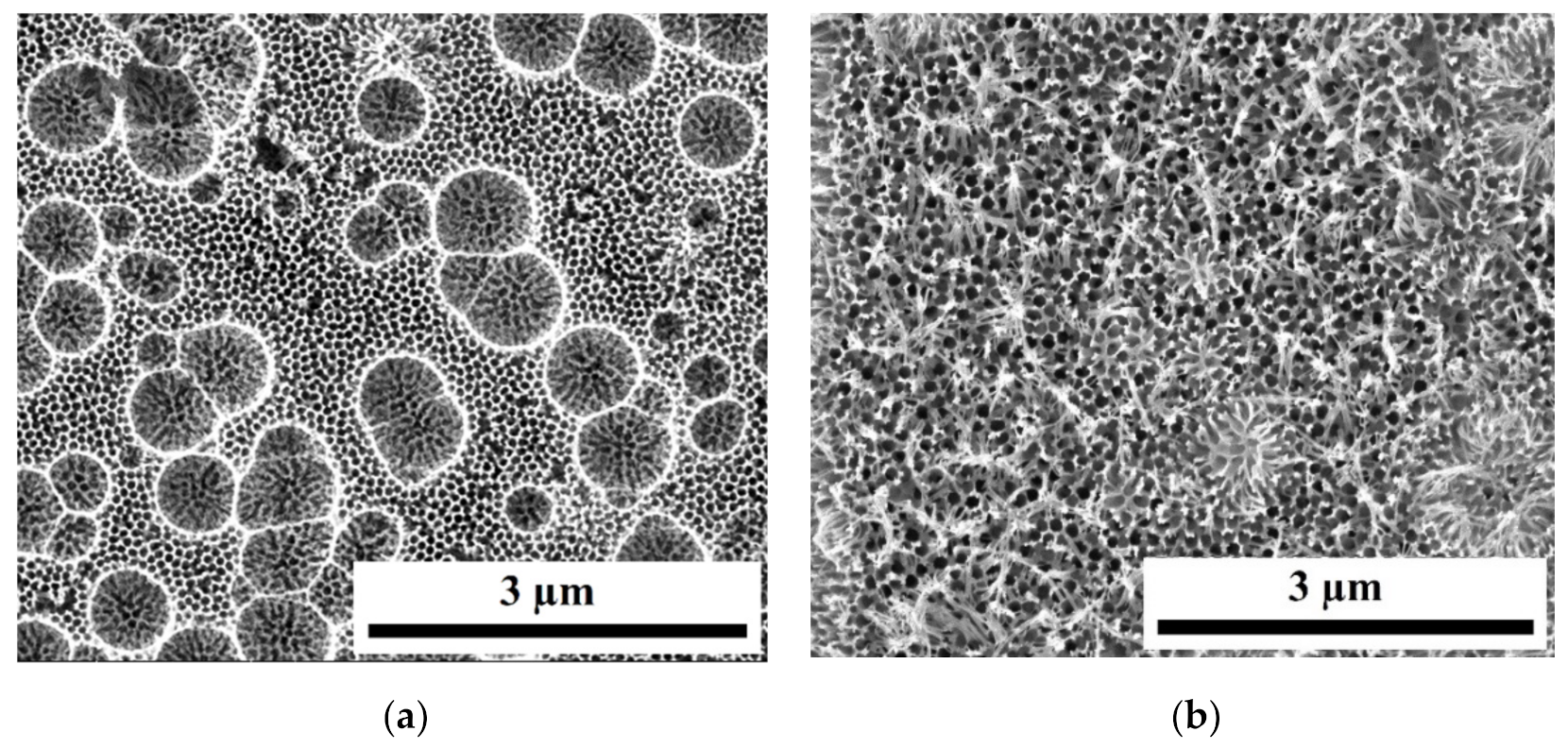 Catalysts 11 00491 g005