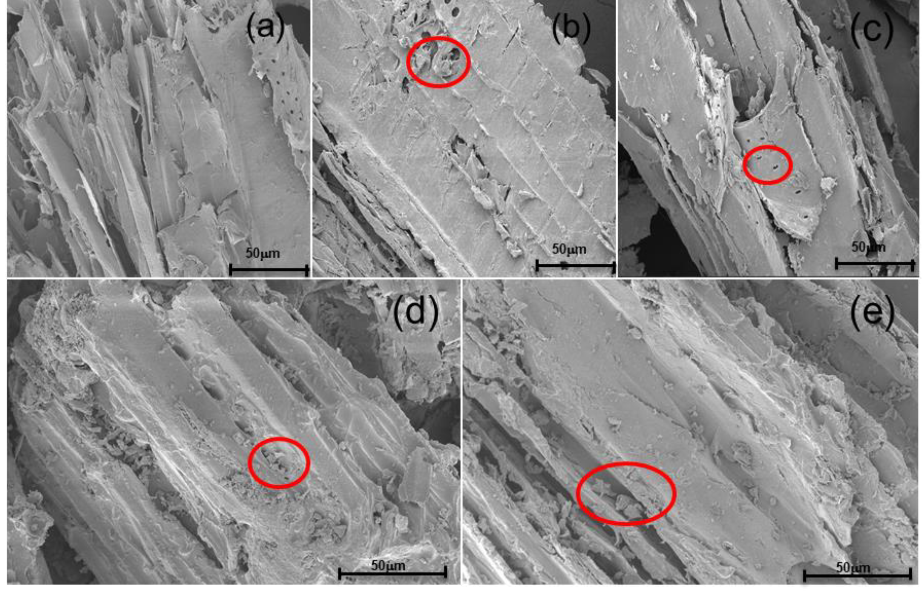 Catalysts 11 00494 g002