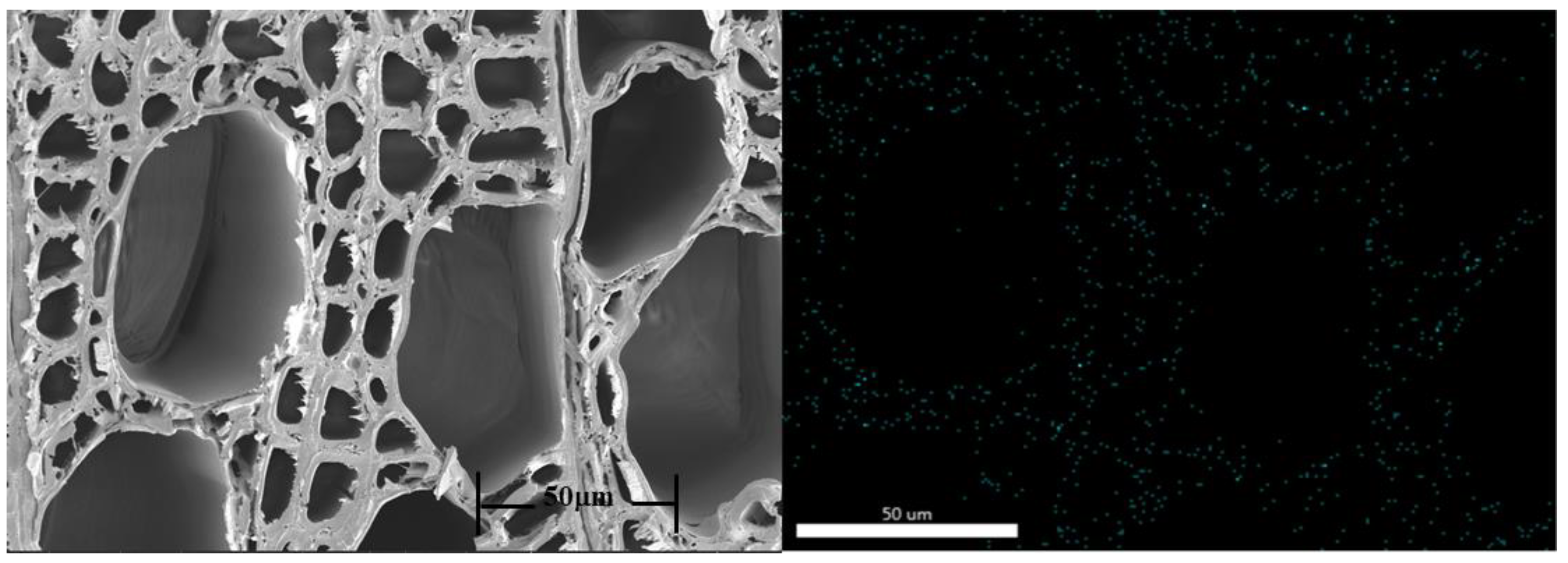Catalysts 11 00494 g003