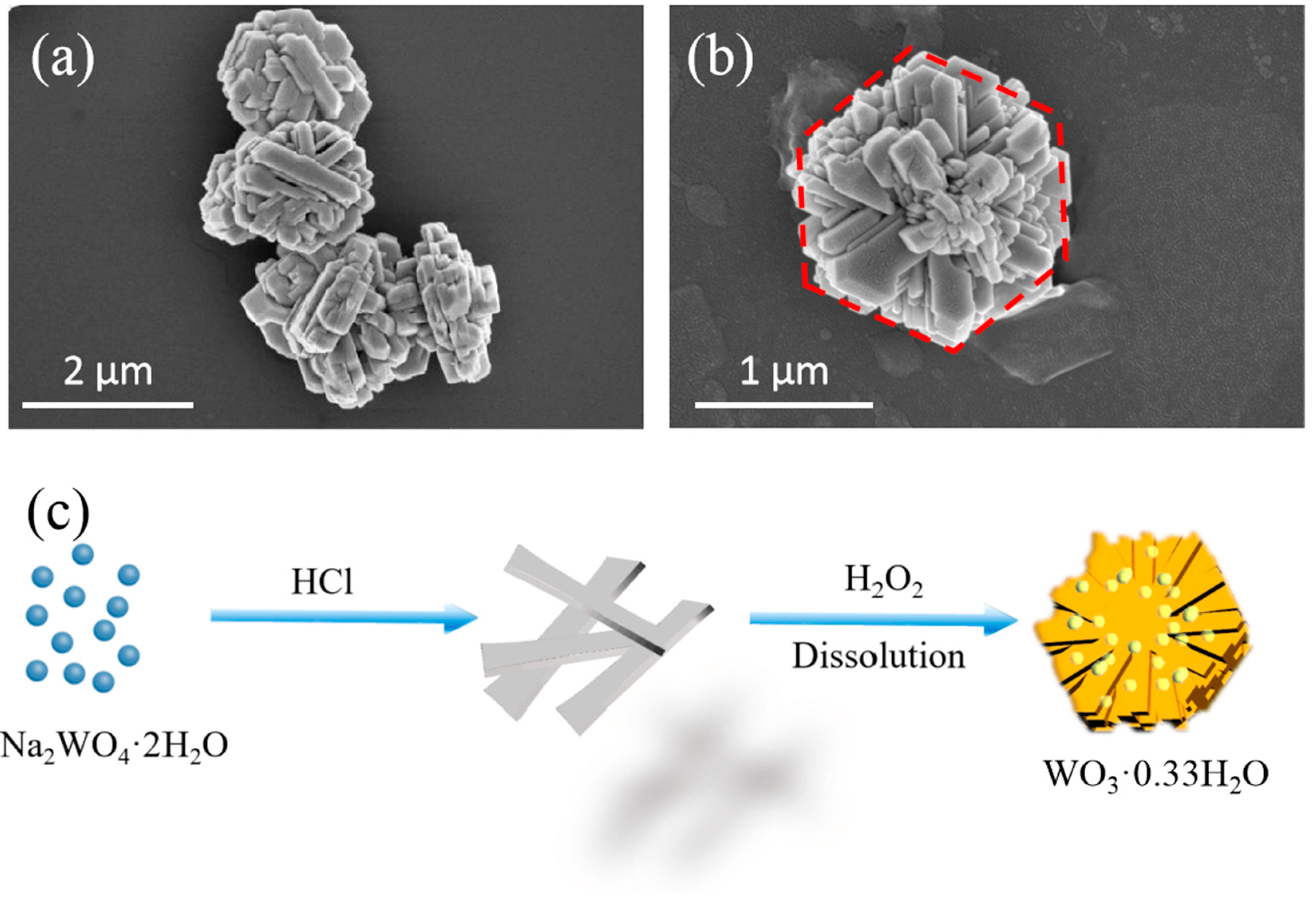 Catalysts 11 00496 g002 Catalysts 11 00496 g002