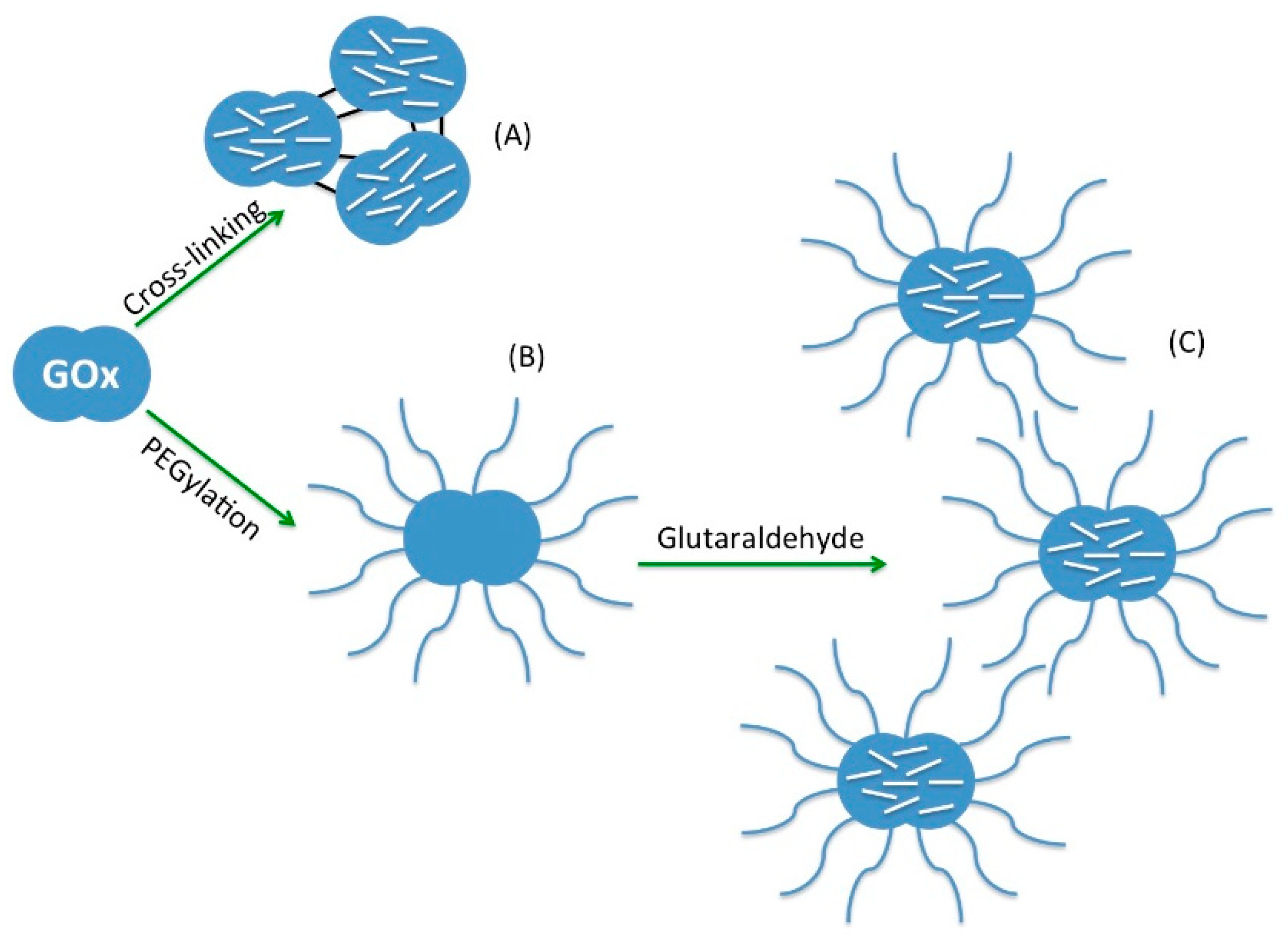 Catalysts 11 00497 g004 Catalysts 11 00497 g004