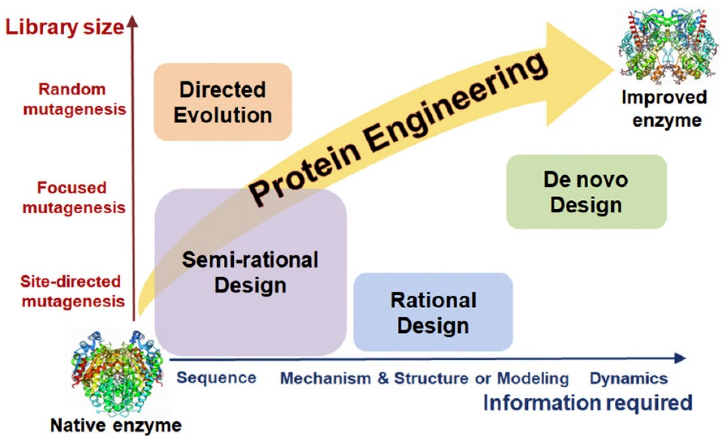Catalysts 11 00497 g005 Catalysts 11 00497 g005