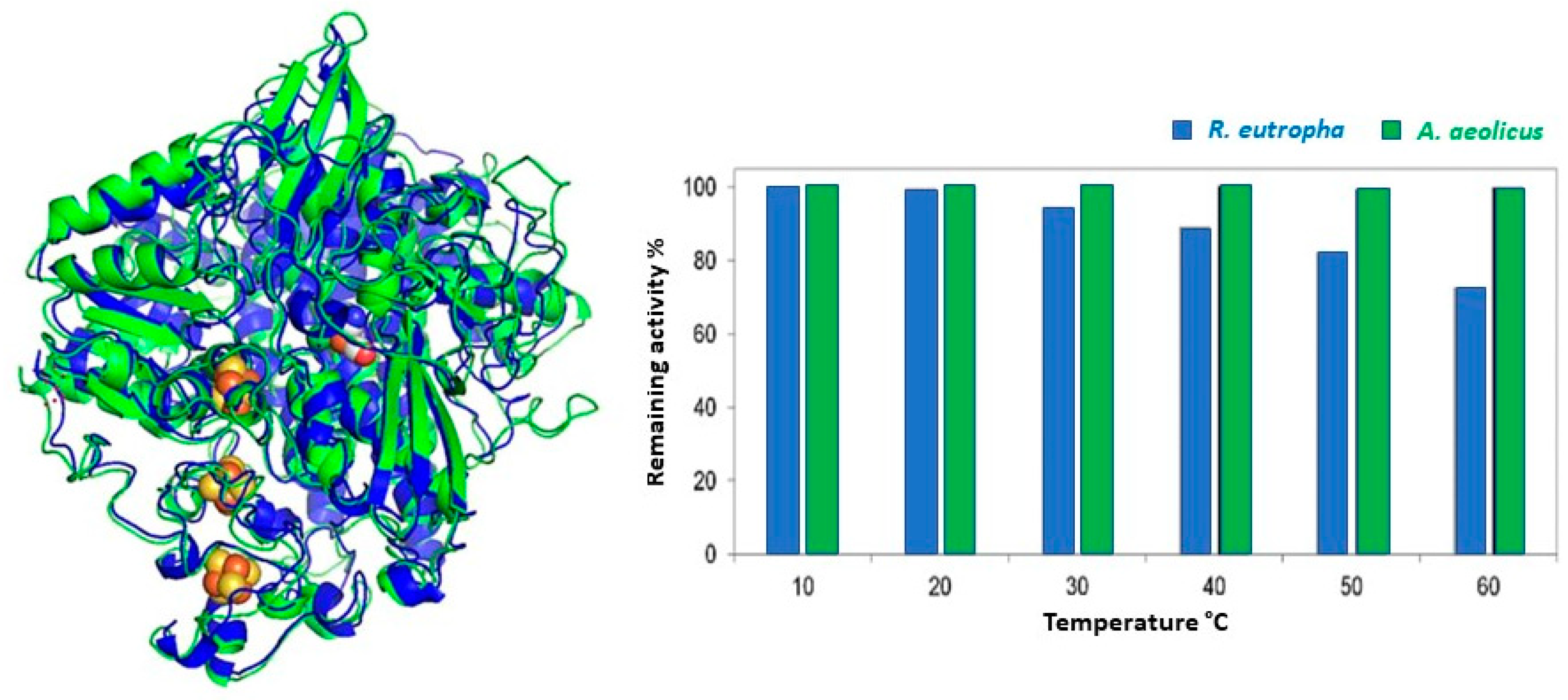 Catalysts 11 00497 g007 Catalysts 11 00497 g007