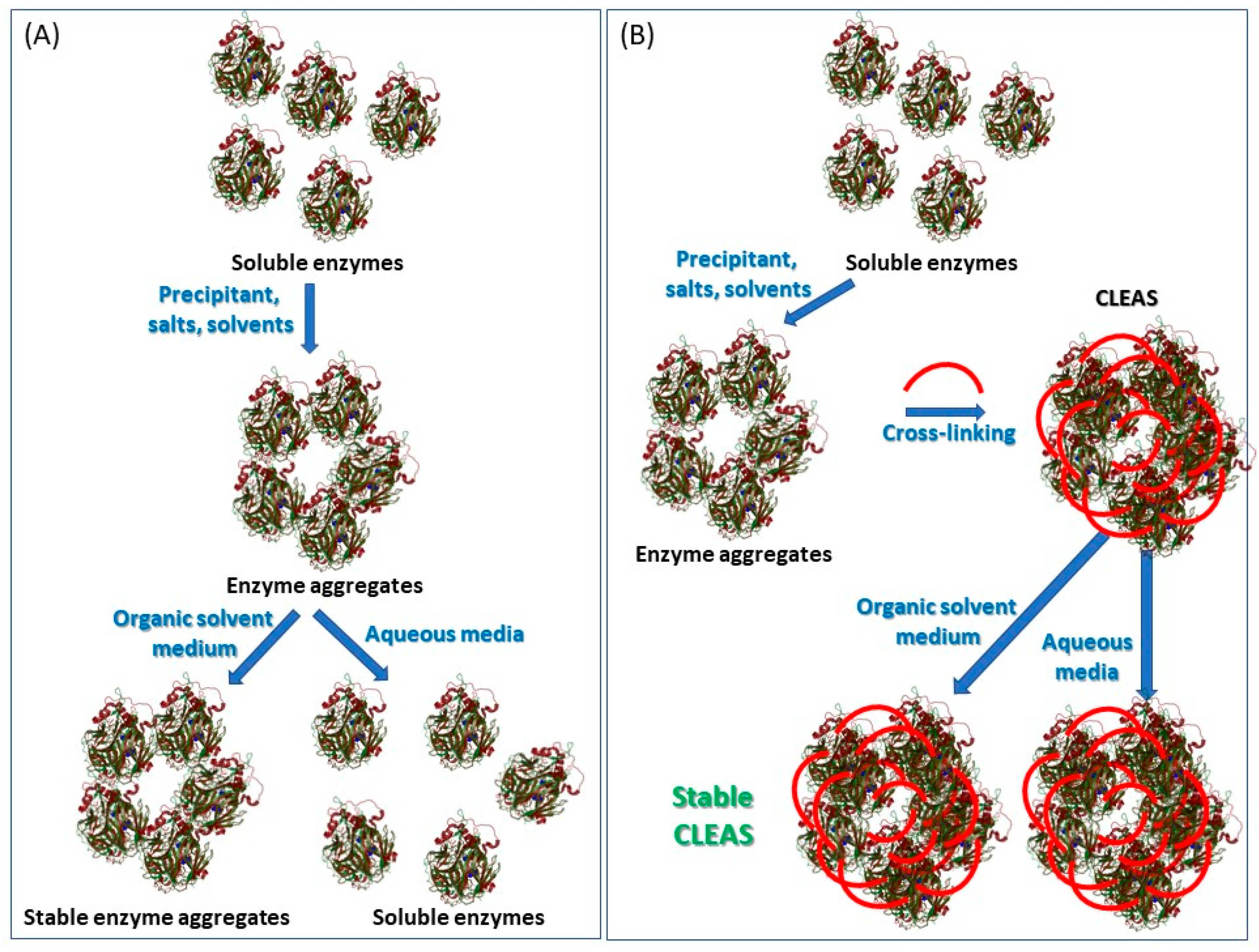 Catalysts 11 00497 g009 Catalysts 11 00497 g009